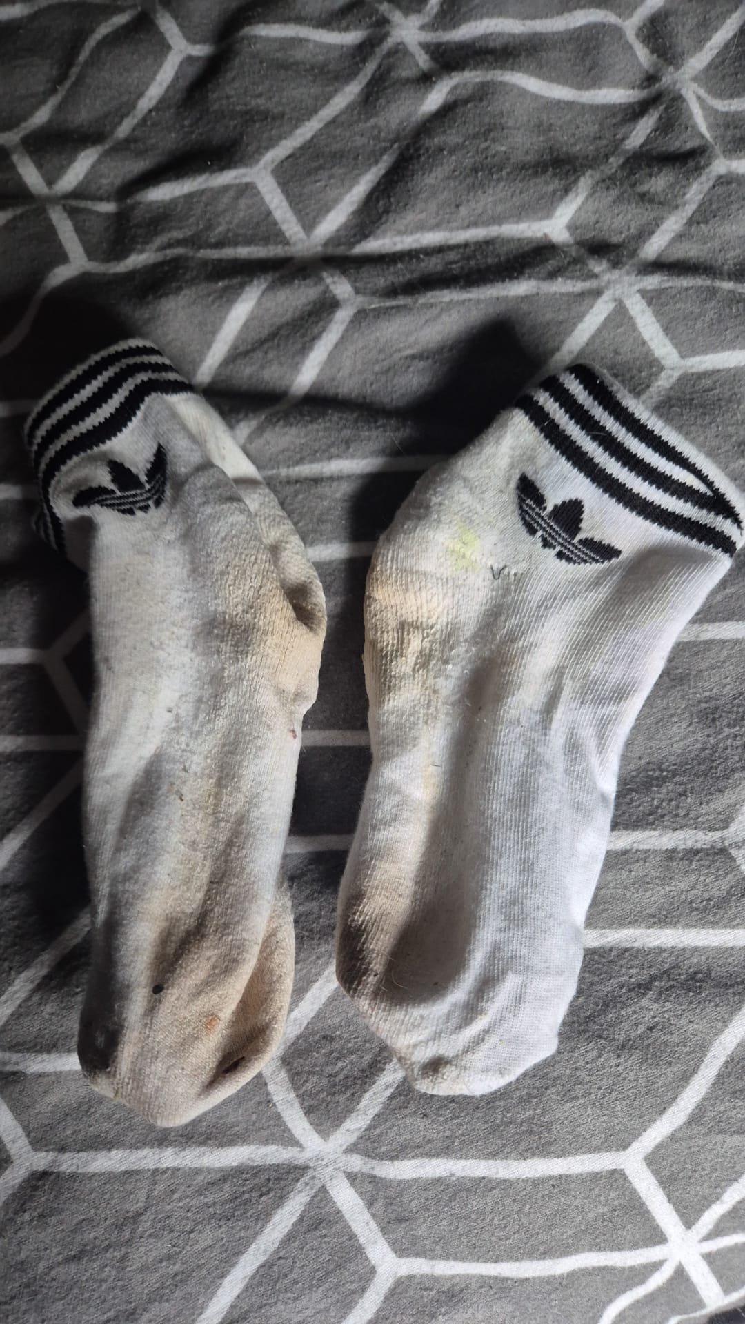 Hwill's work socks