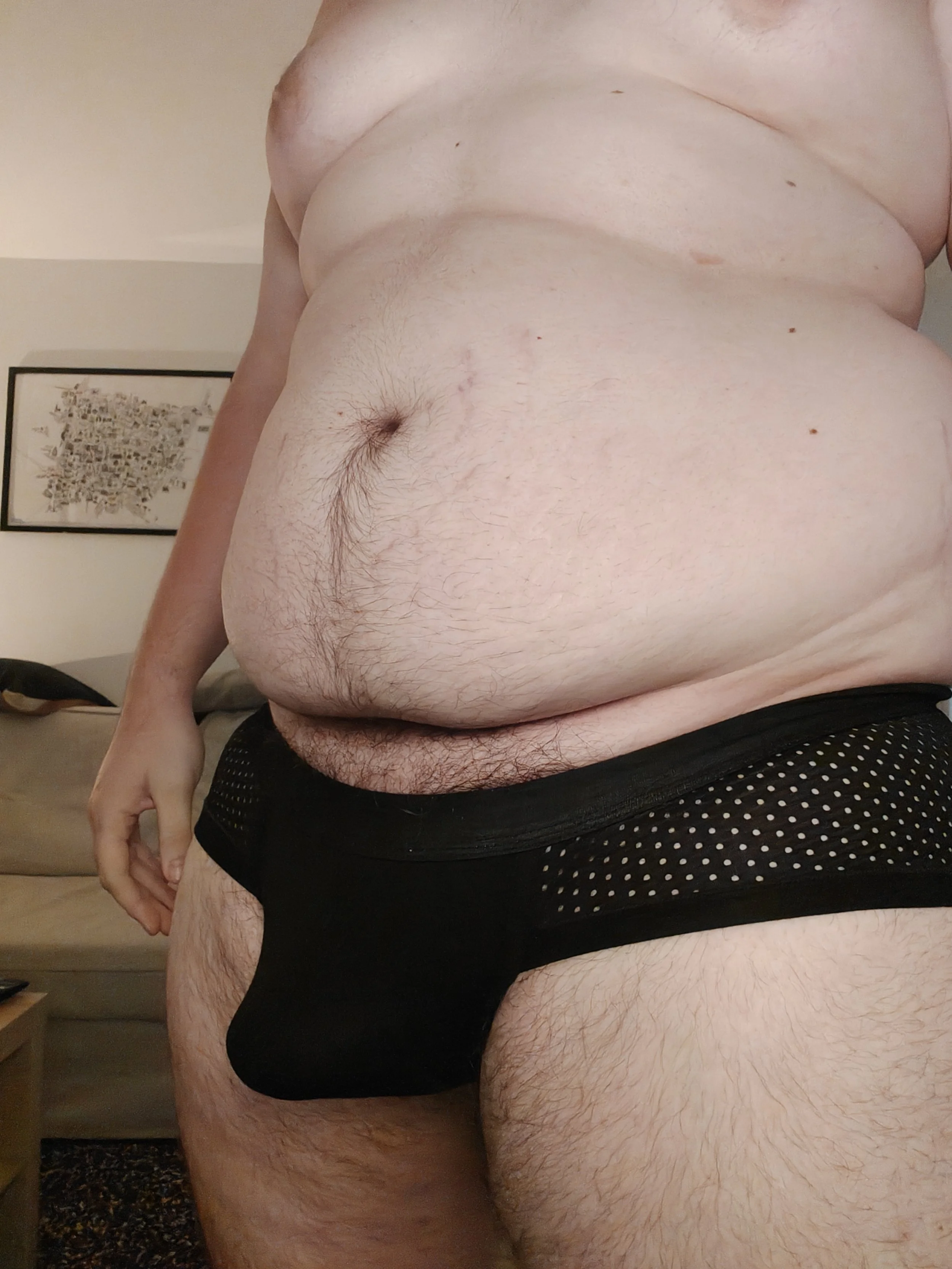 ChubbyCub1499's XL Black Mesh Boxer Briefs