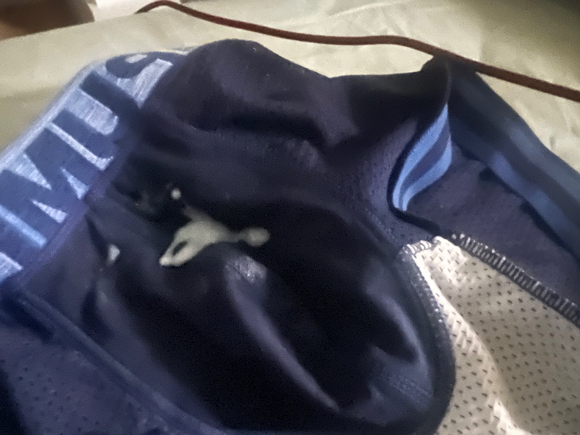 image2.jpeg