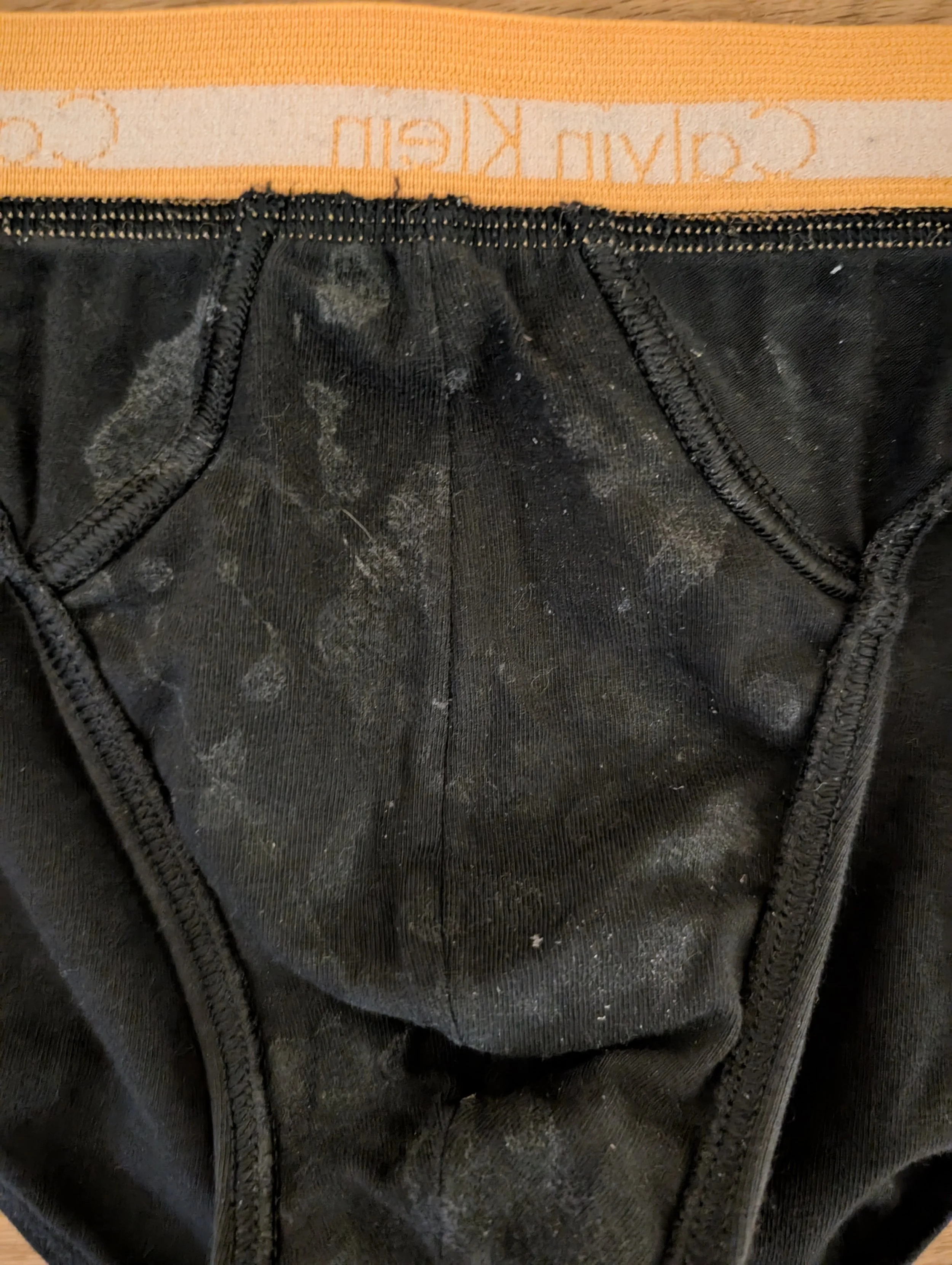 PXL_20260202_164959049.MP (1).jpg