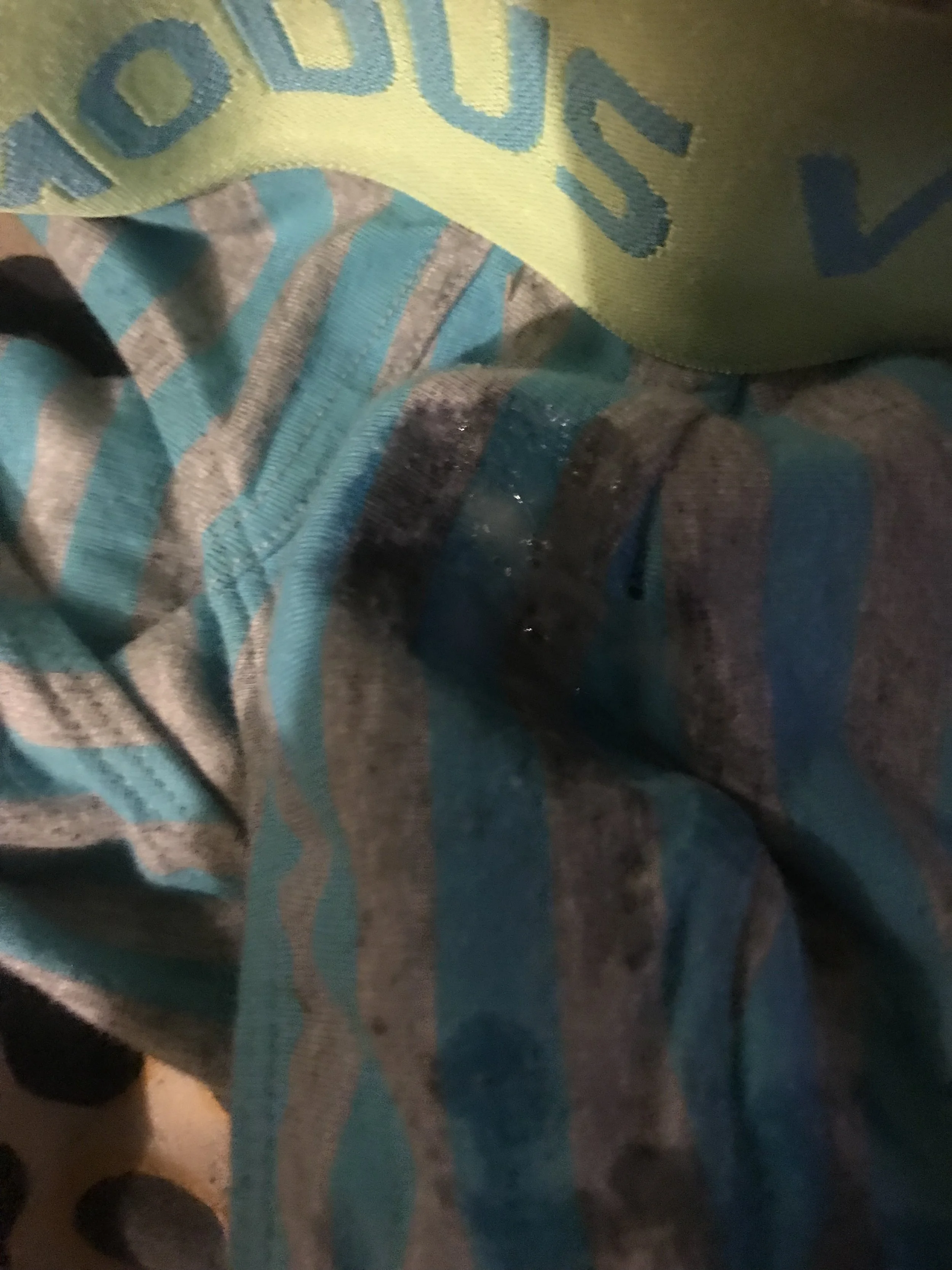 0EF85CA2-2E79-4CBB-A8F5-D07713290632.jpeg