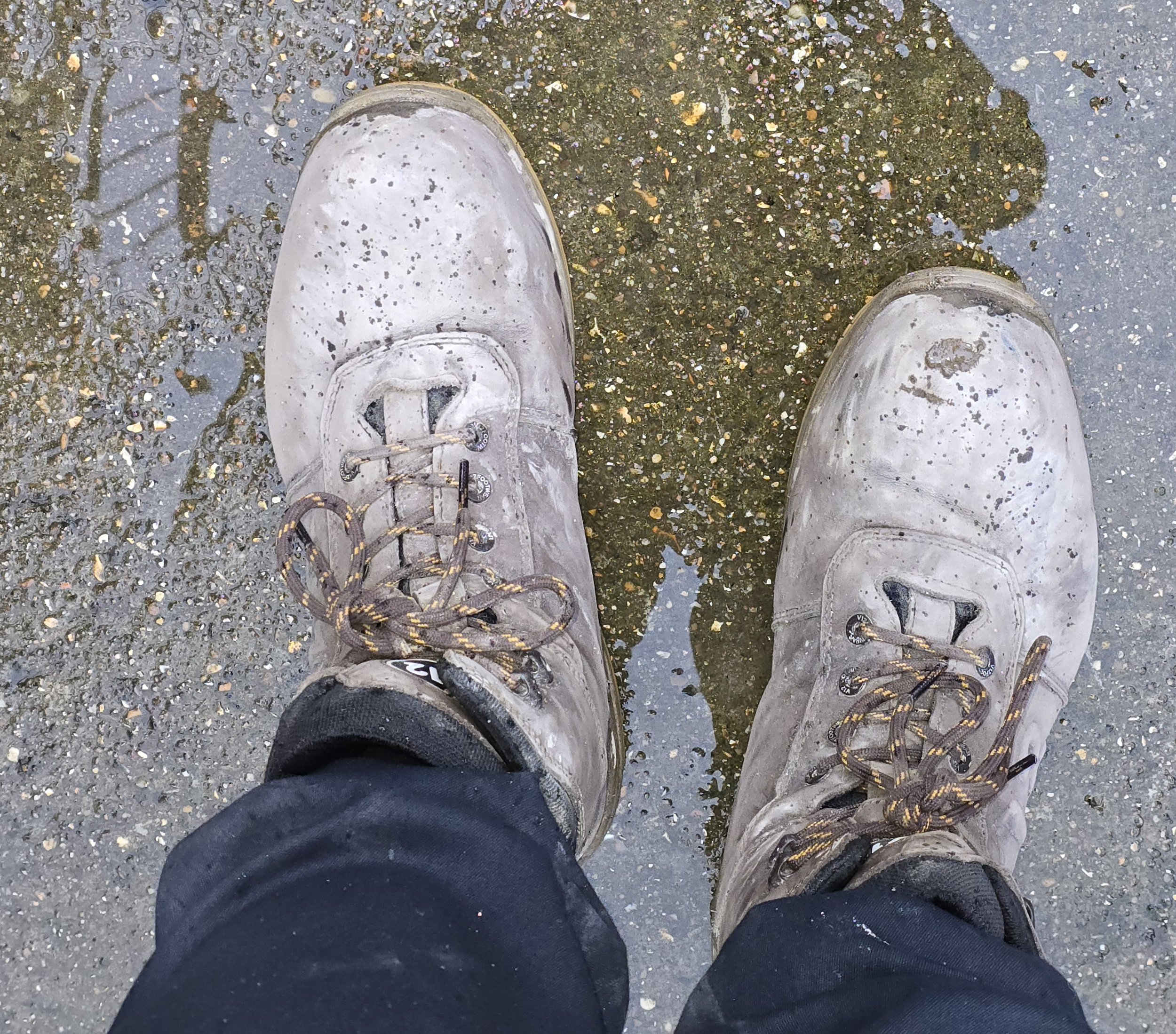 20260206_162144 (1).jpg