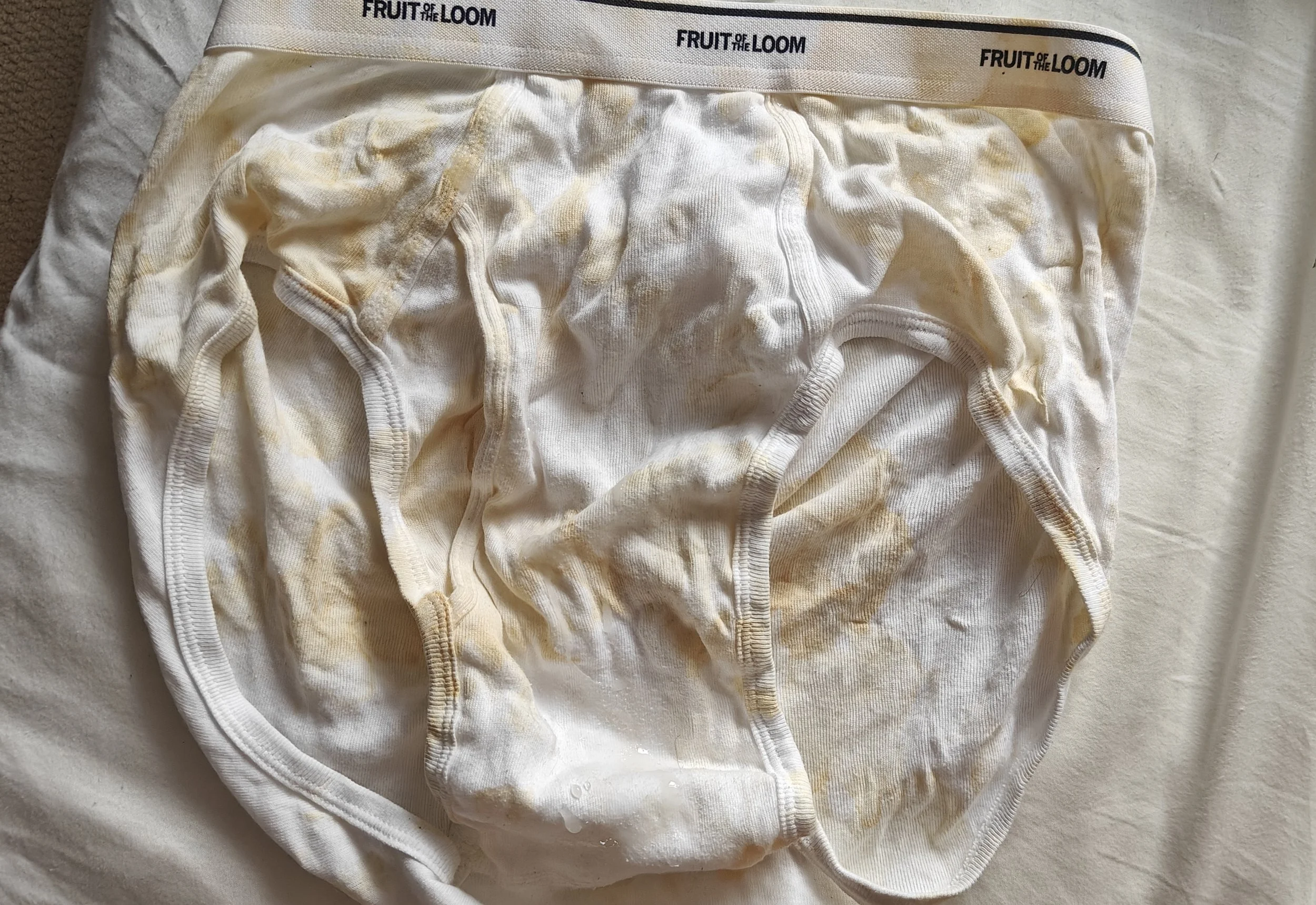 ChubbyCub1499's White Briefs Rag