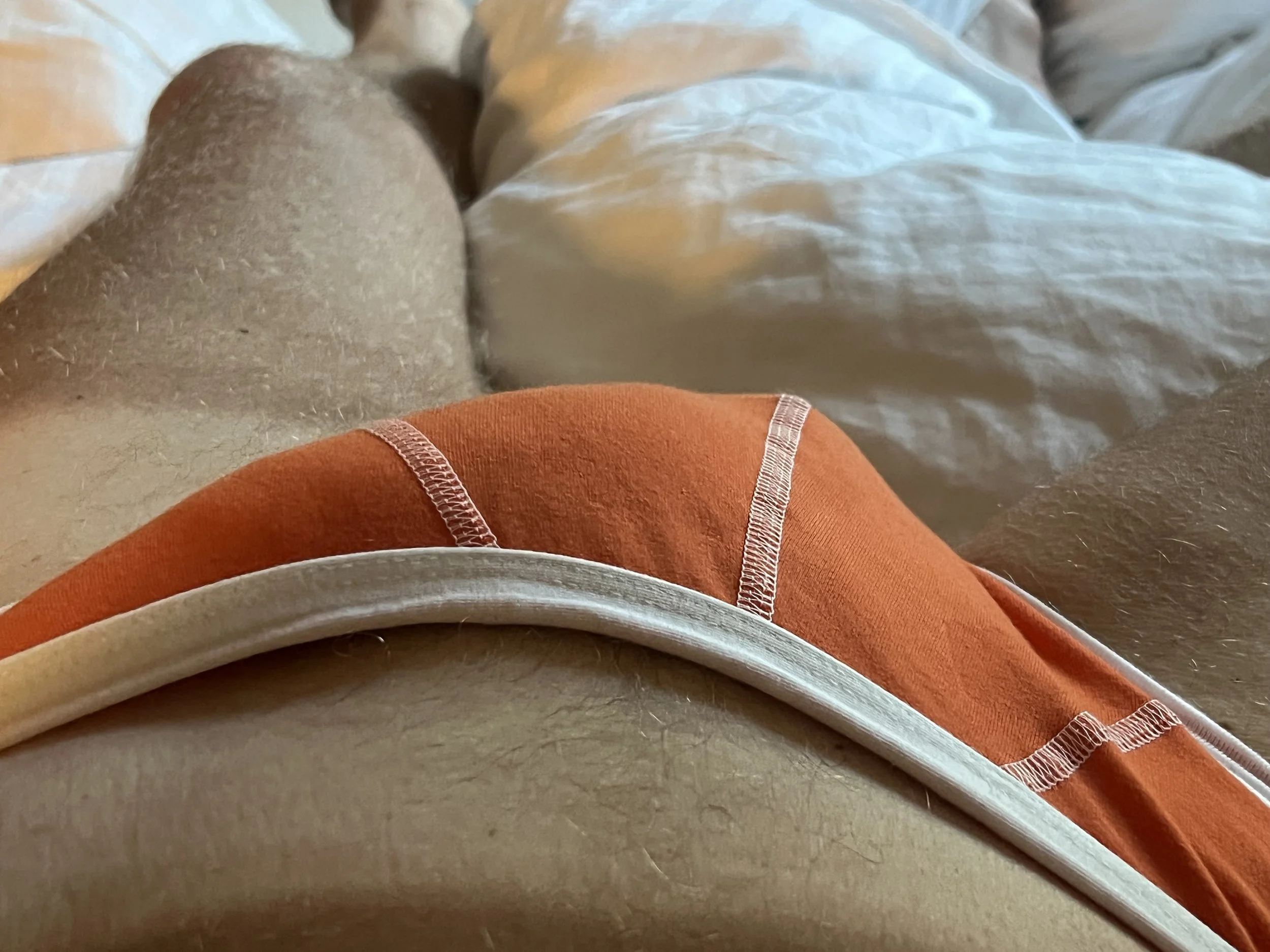 IMG_2262.jpeg