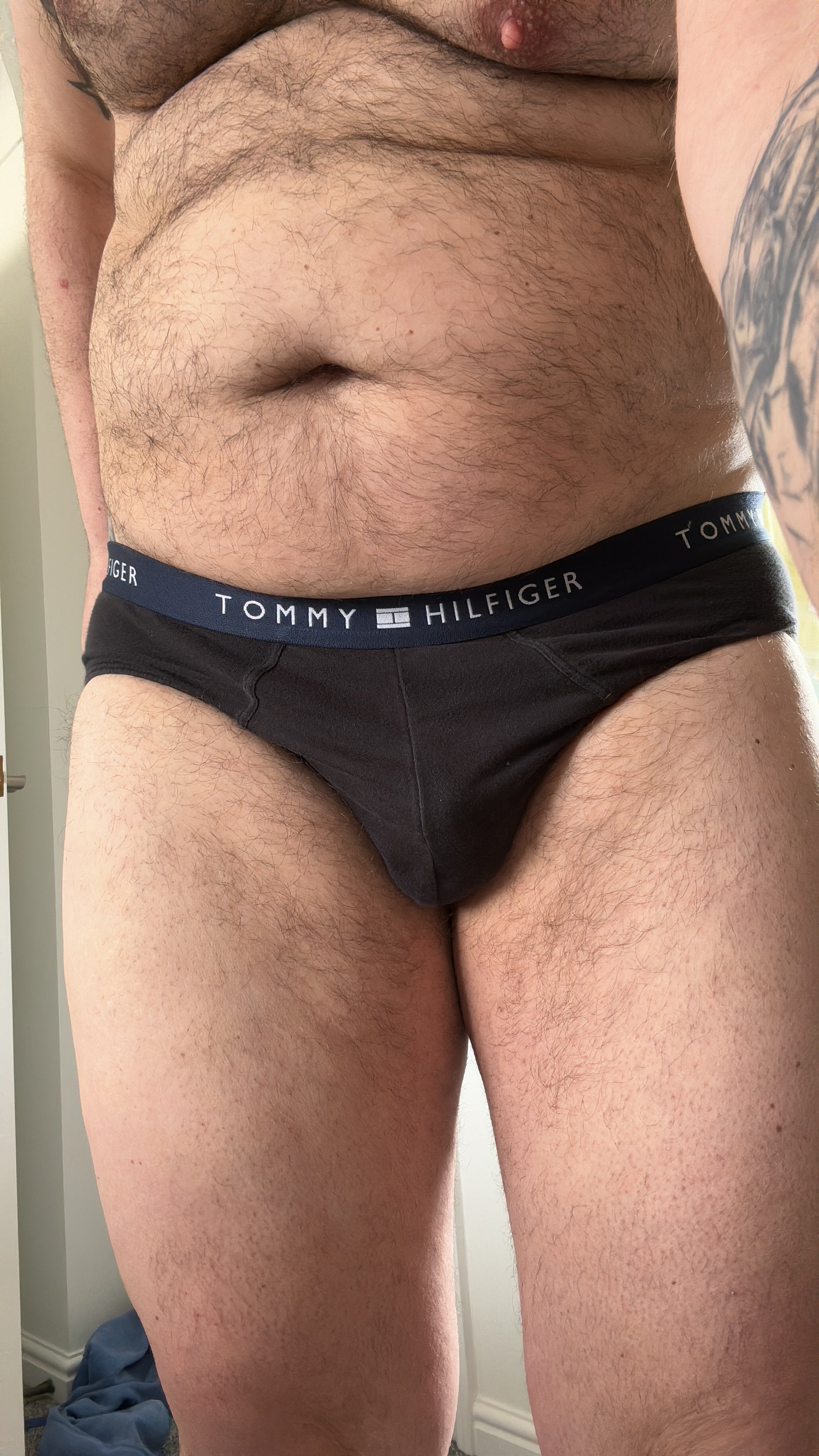 HairyBear1's Tommy Hilfiger briefs
