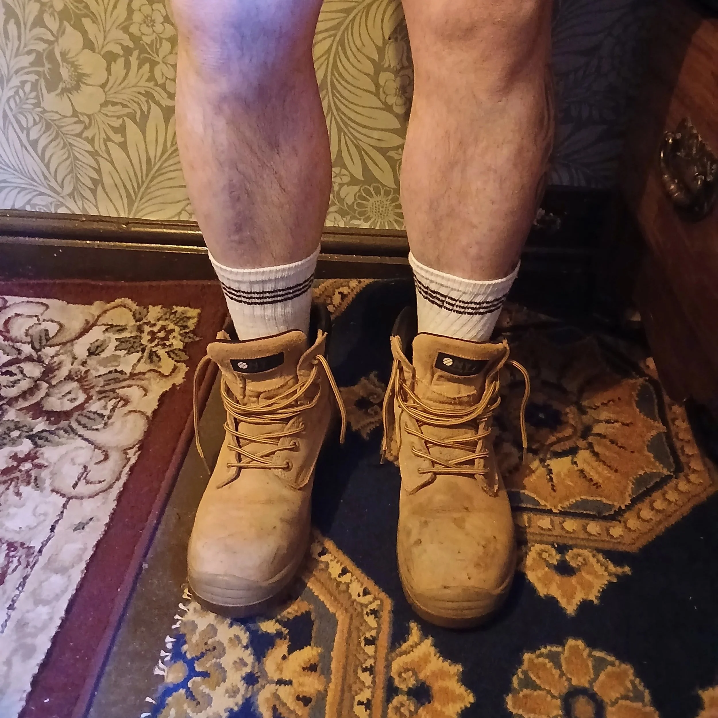 20260512_201846.jpg