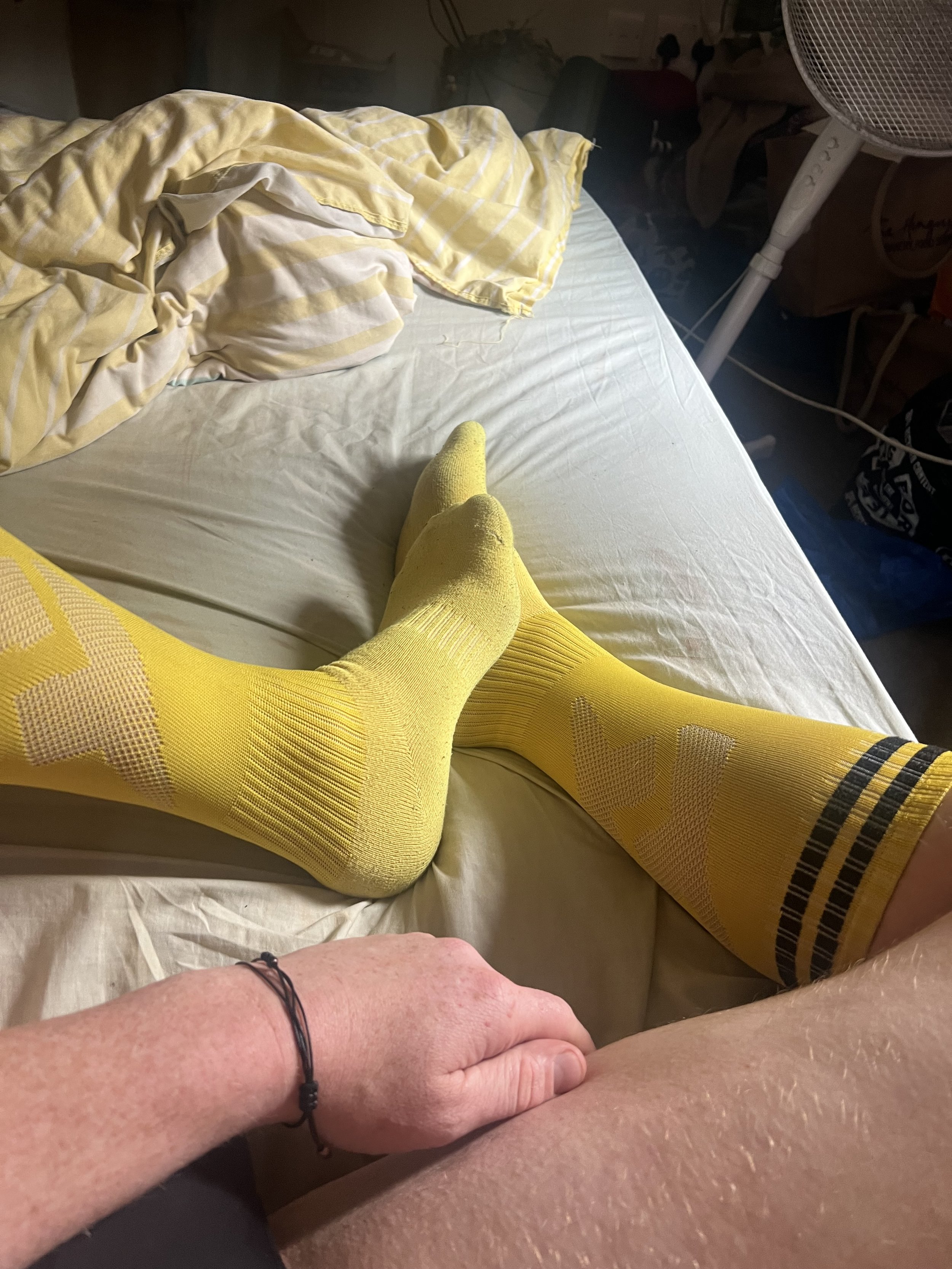 IMG_2977.jpeg