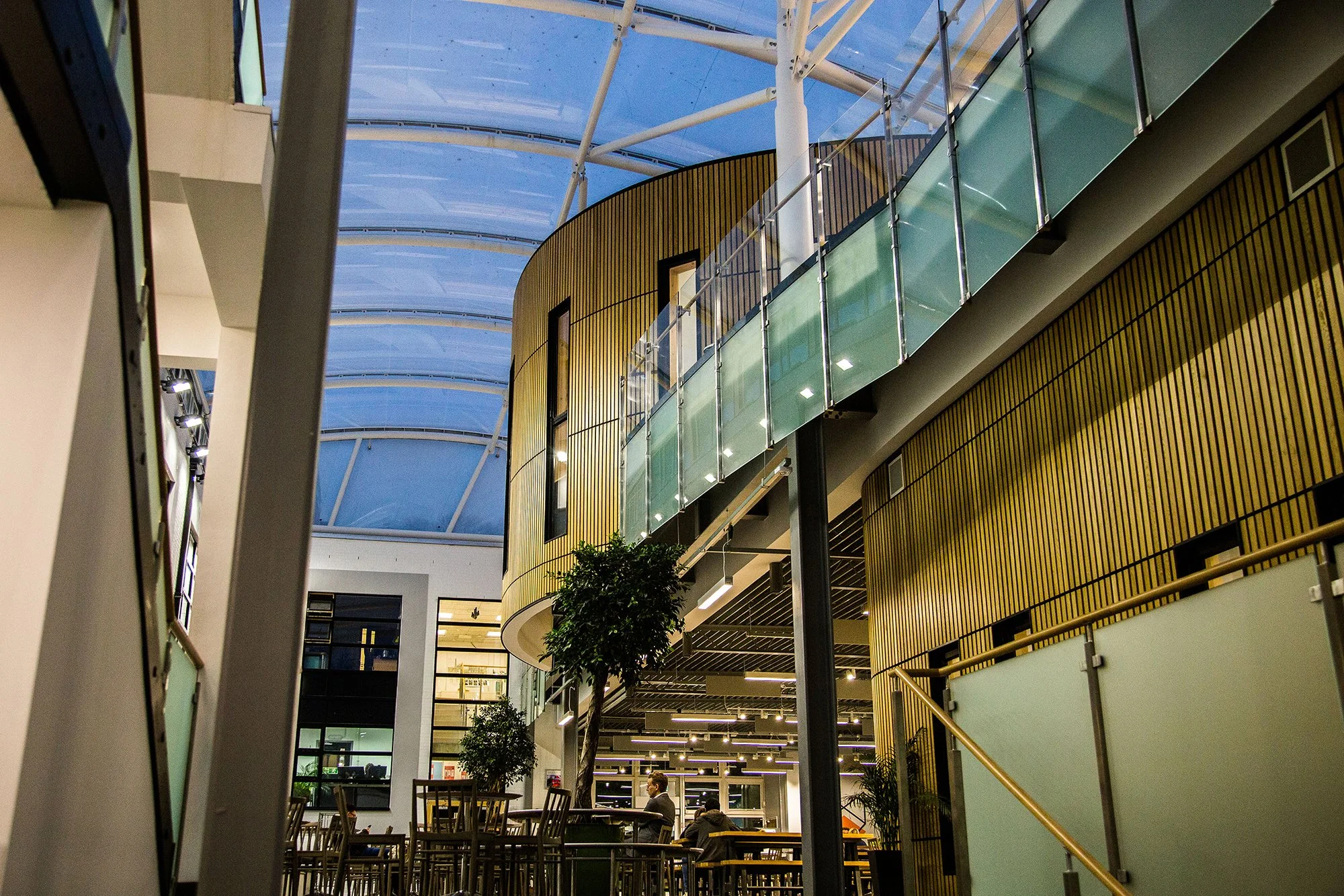 APG Architecture Ltd — APG Architecture, Falmouth University, Fox Atrium