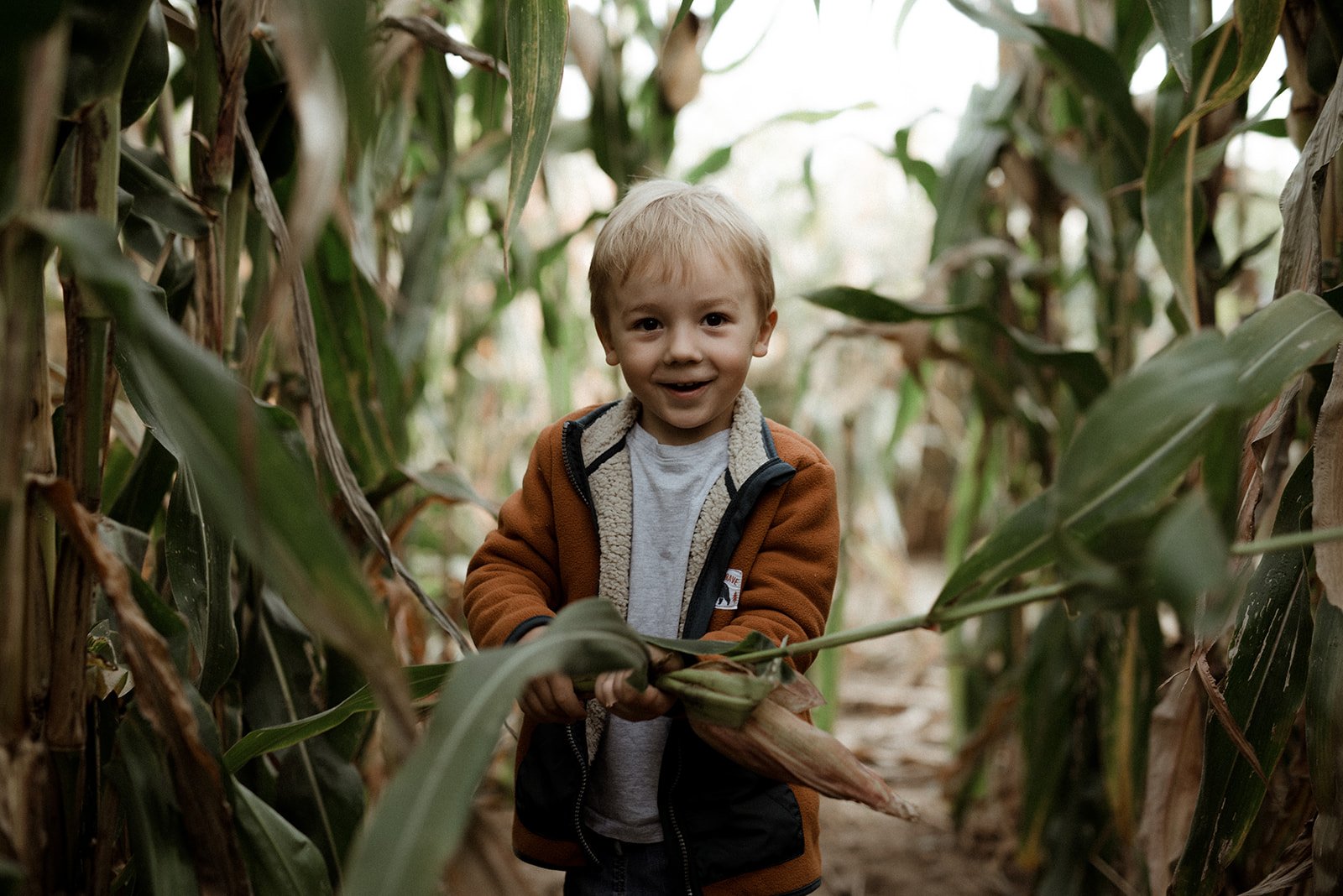 Child in a cornfiled