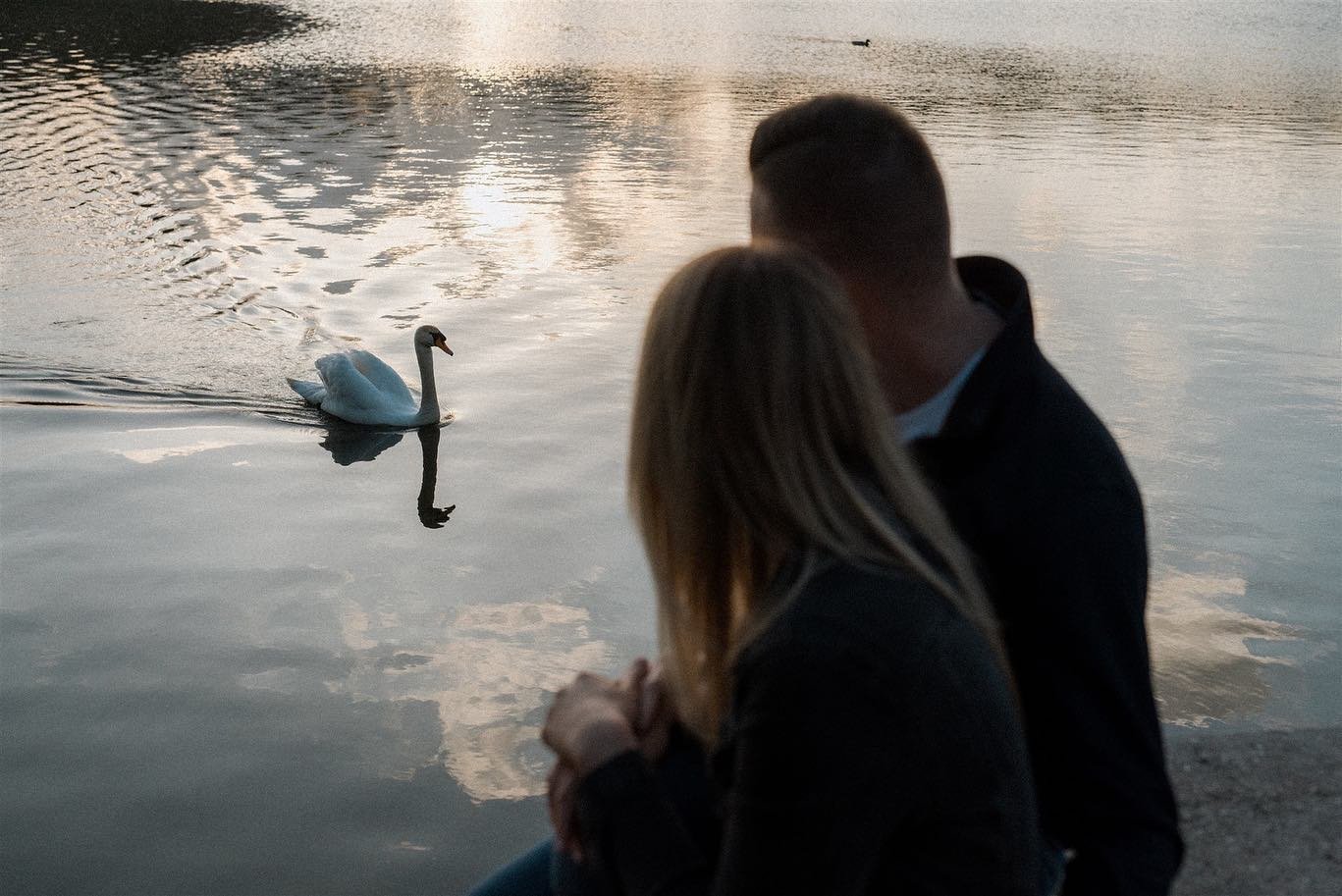 Sunset moments by a pond with A&amp;M. Curious swan, little ducklings, fresh green leaves and golden light complementing their romantic touches💛 

I&rsquo;m excited about their wedding in September. It&rsquo;s always so nice to meet my couples befor