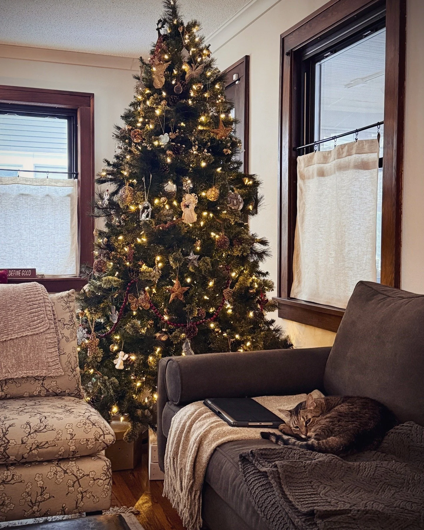 The tree is up!

Or I should say 'trees'. I've had these three small 'woodland' trees since my younger, apartment days. And this year, I decided I needed ALL the trees. 

Most of my holiday decor was given to me by my mother. She made certain I would