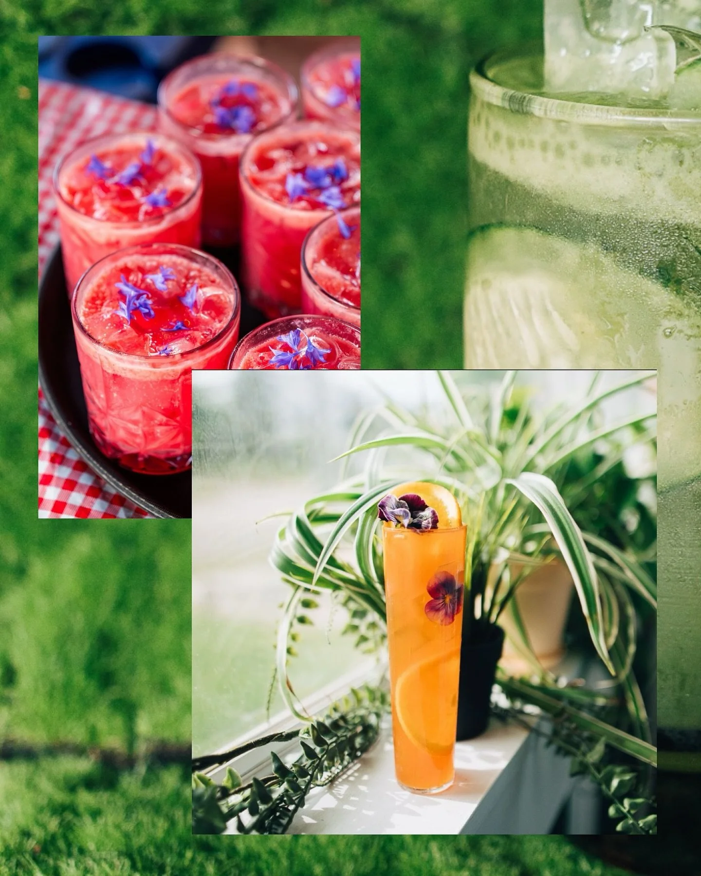 🍹SUMMER SIPS | Our farmer&rsquo;s market bags runneth over&hellip;and into our cups! 🌽🥒🥕

🍒🍉 Cucumbers, berries, melons, herbs, even tomatoes can all make a star moment in your next cocktail or mocktail.

🥰 Here are the full deets on our faves