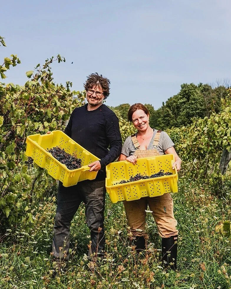 An abandoned vineyard, mysterious elixirs, a primal connection to land, and a whole lotta sheep 👀 . . . while that might be the fixings for a very spooky tale, it&rsquo;s the very real story of @ellisonestatevineyard! 🐑 🍇 🍷 Let&rsquo;s meet the V