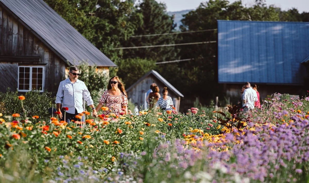 36 Hours in Charlotte &amp; Shelburne