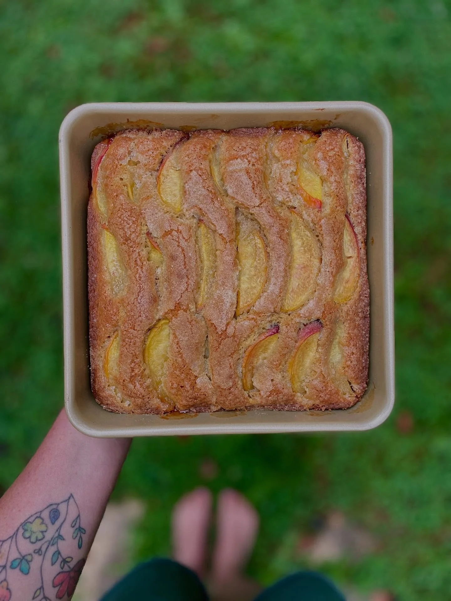 The brown butter brown sugar peach cake I made for garden club, a place where neighbors get together to talk about converting grass to gardens and how to cultivate healthy soil and attract pollinators and how we can keep the city from developing the 