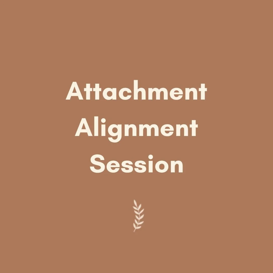 Attachment Alignment Session