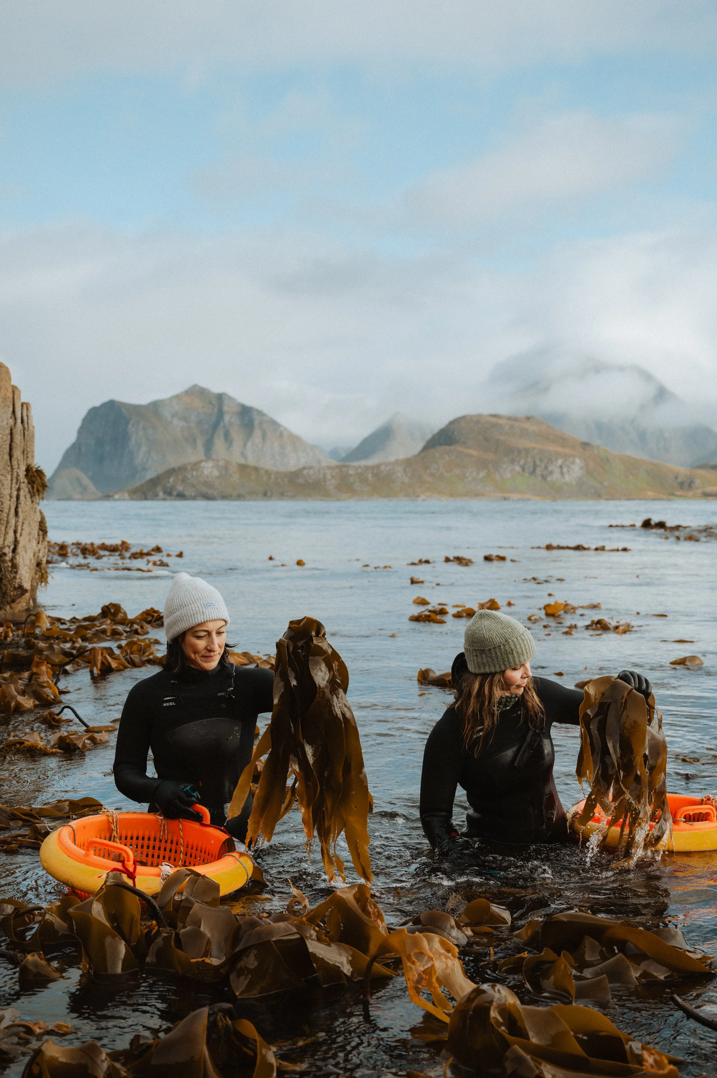 LofotenSeaweed-55.jpg