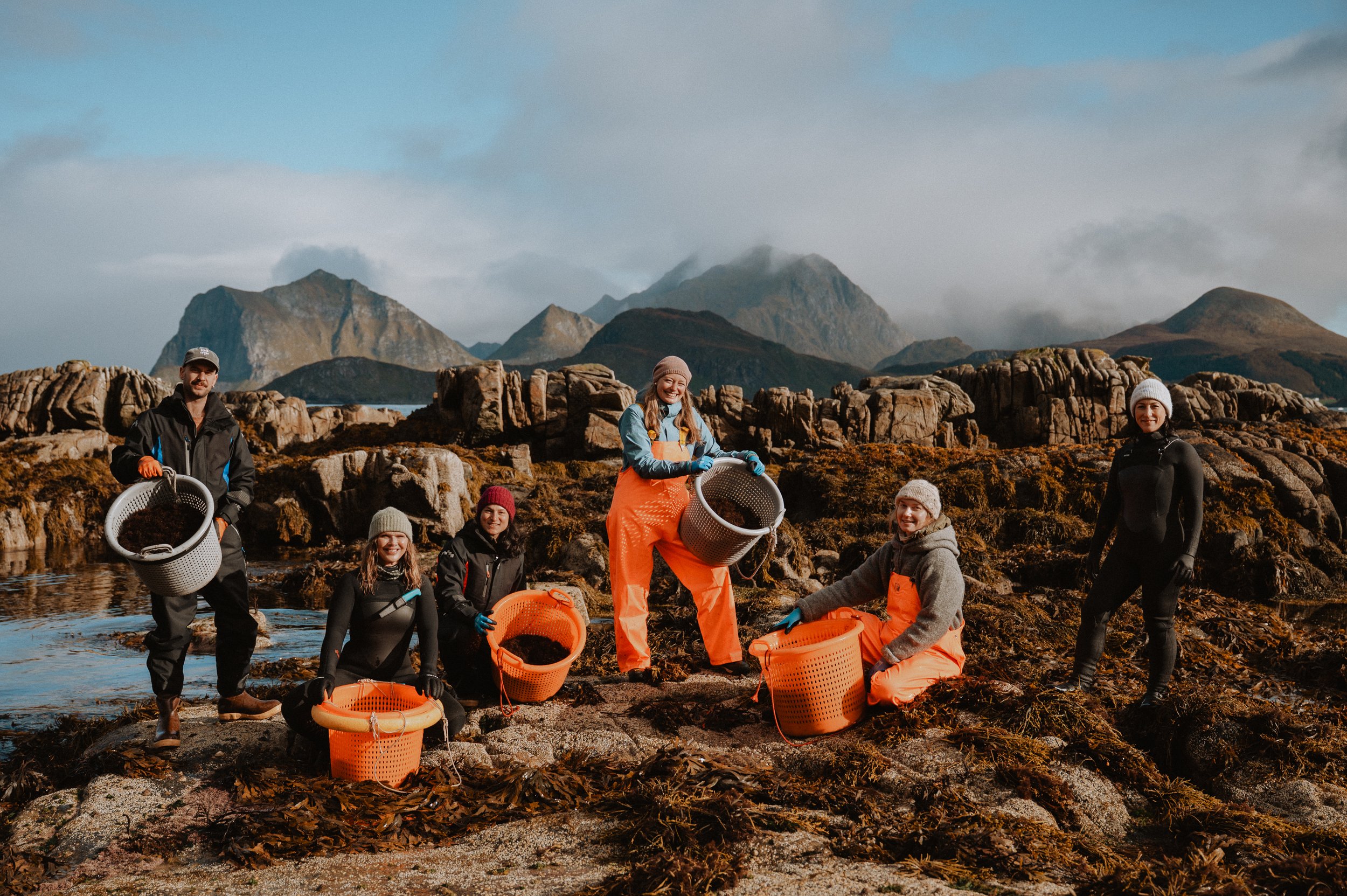 LofotenSeaweed-72.jpg