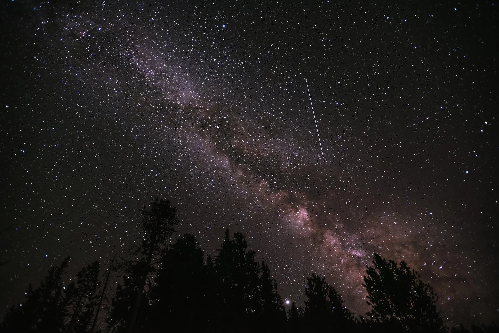 Night sky filled with stars and the Milky Way galaxy, with silhouettes of trees at the bottom and a shooting star visible.