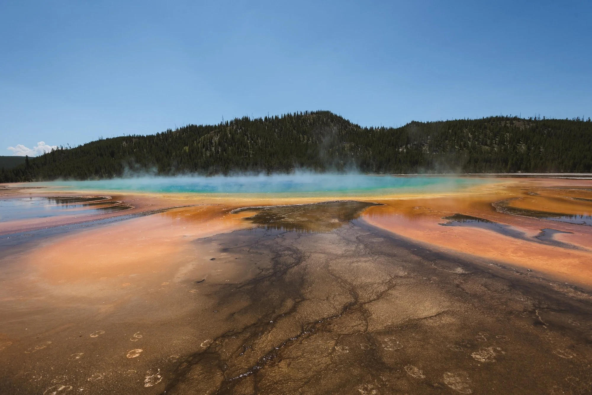 Colorful hot spring with steam rising, surrounded by multicolored mineral deposits and a forested hillside in the background