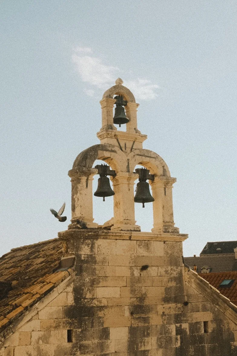 MH250204.JPG