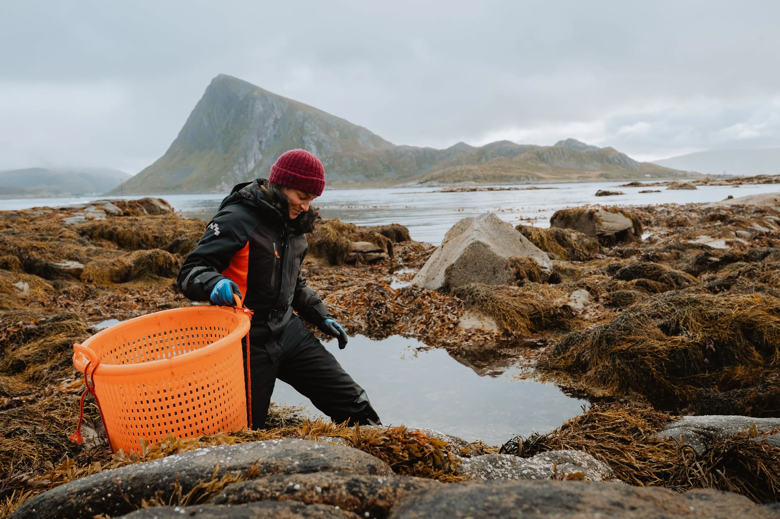 LofotenSeaweed-20.jpg