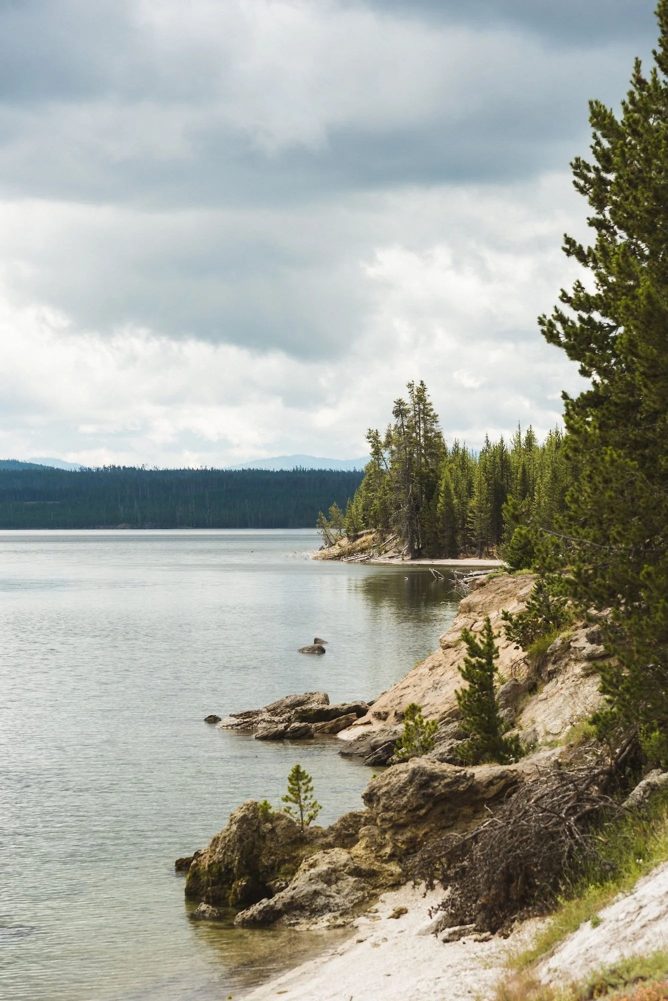 A scenic view of a lake surrounded by pine trees and rocky shores, with cloudy skies overhead.