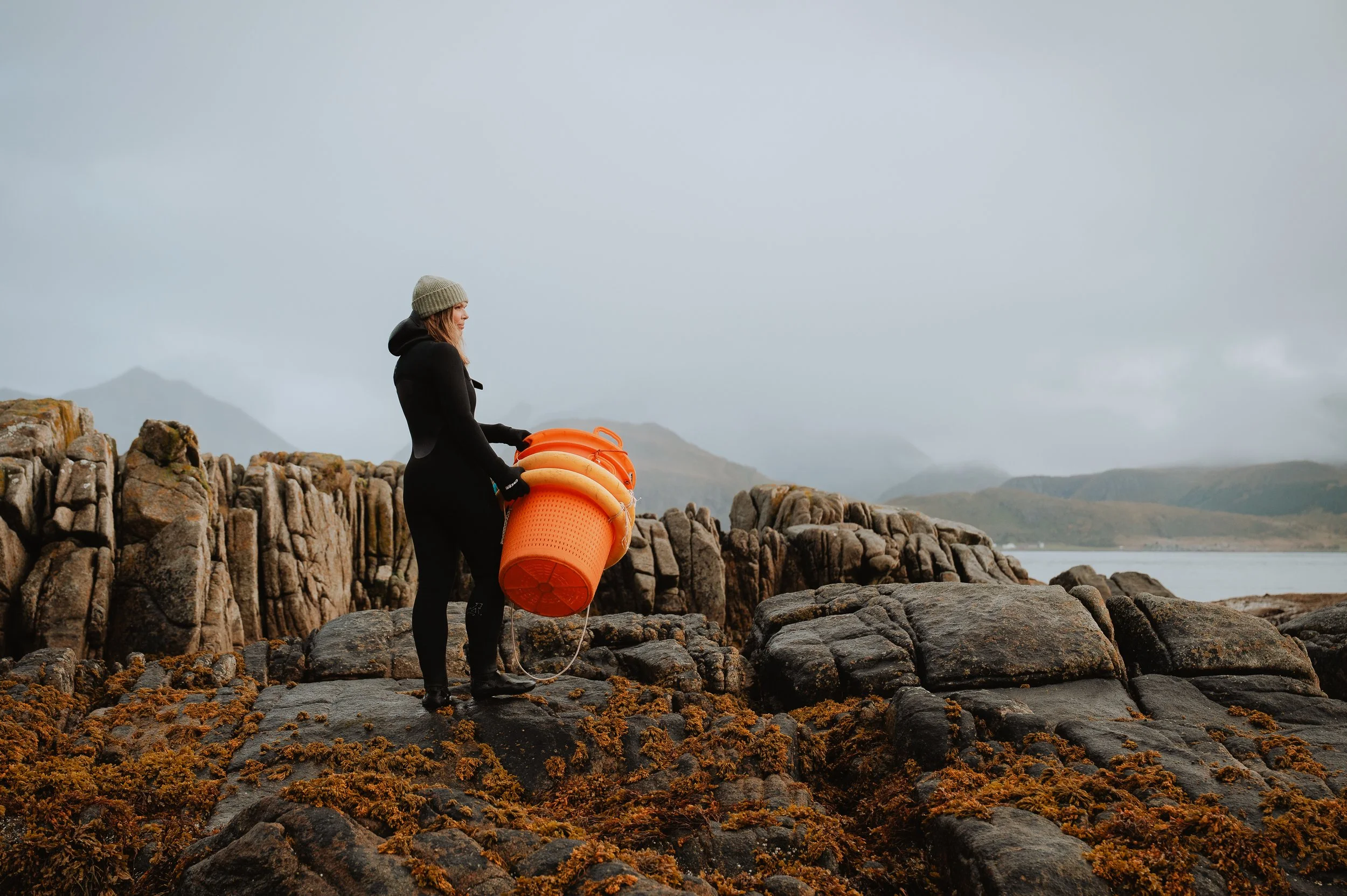 LofotenSeaweed-24.jpg