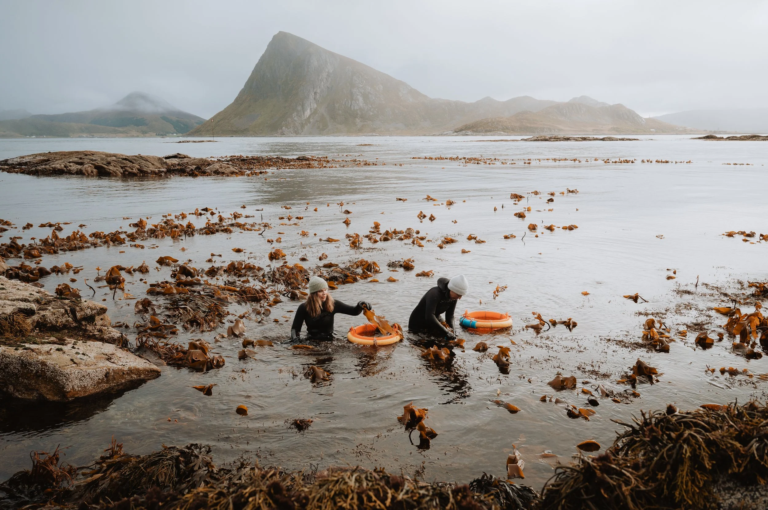LofotenSeaweed-26.jpg