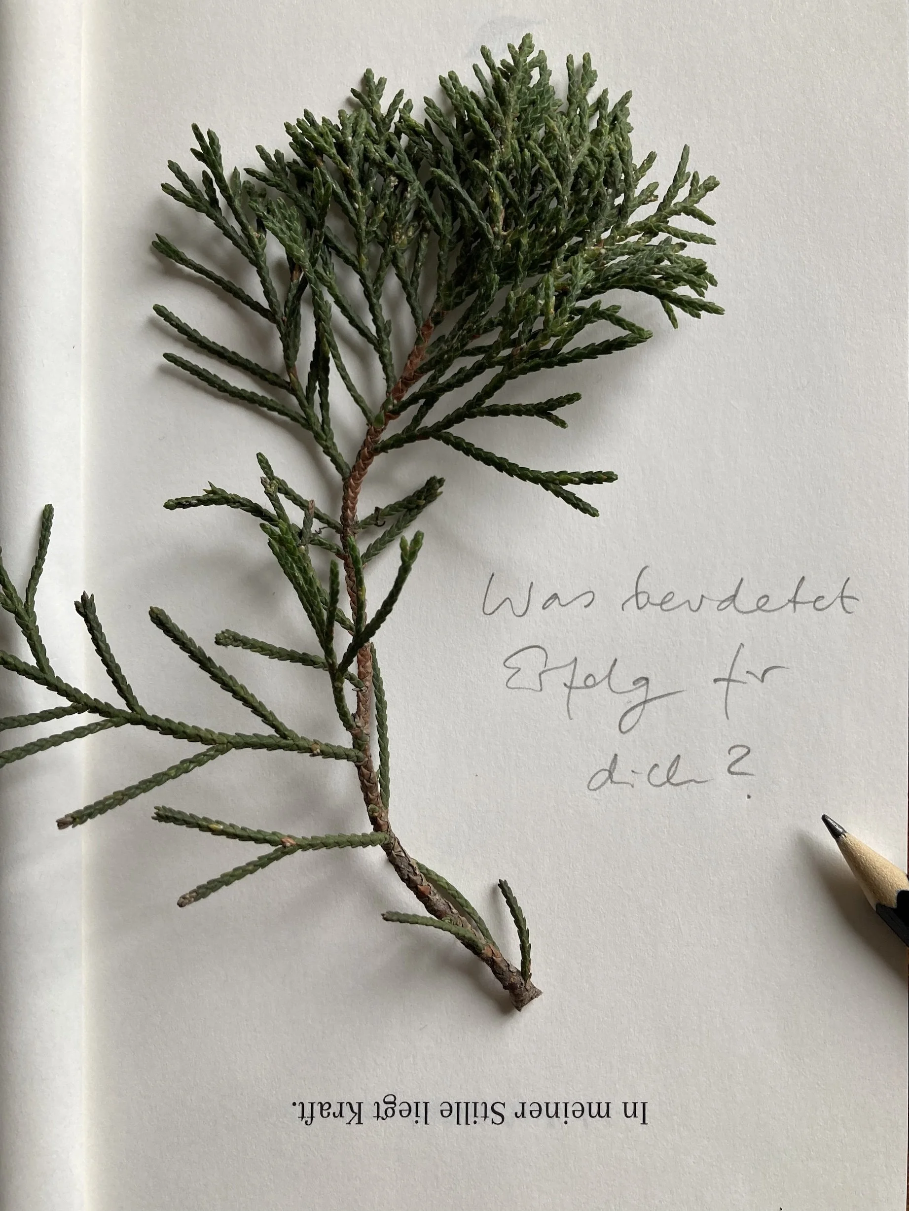 Was bedeutet Erfolg für dich/mich?