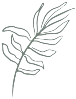 Linien Zeichnung eines Zweigs mit Blättern in Palmwedelform