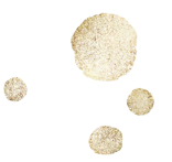 Mehrere kleine und eine große, runde, goldene Texturen auf schwarzem Hintergrund