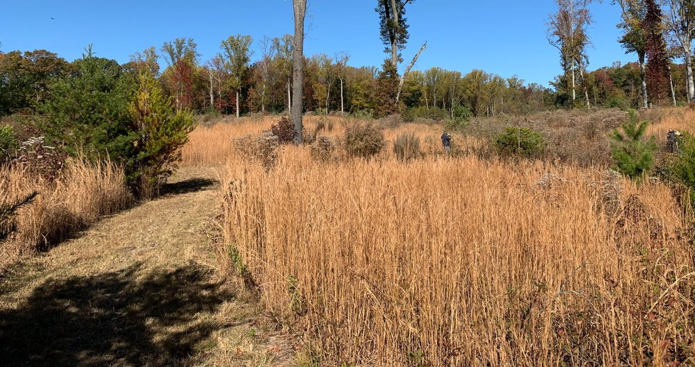 Crow's Nest Research Center &amp; Crow's Nest Natural Area Preserve, Stafford, VA