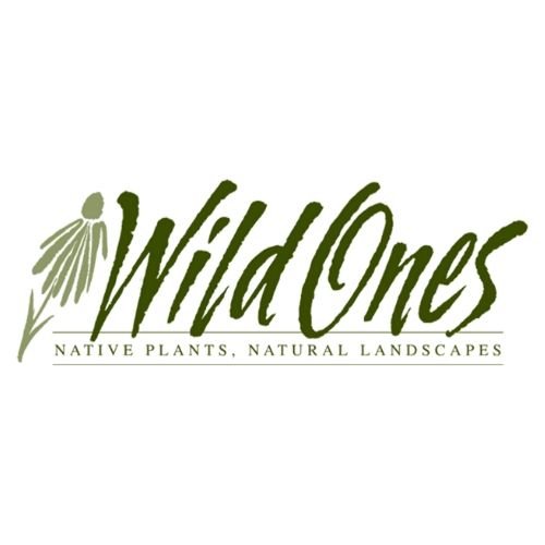 Wild Ones Green Logo copy.jpg