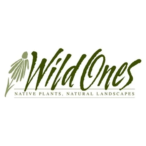 Wild Ones Green Logo copy.jpg