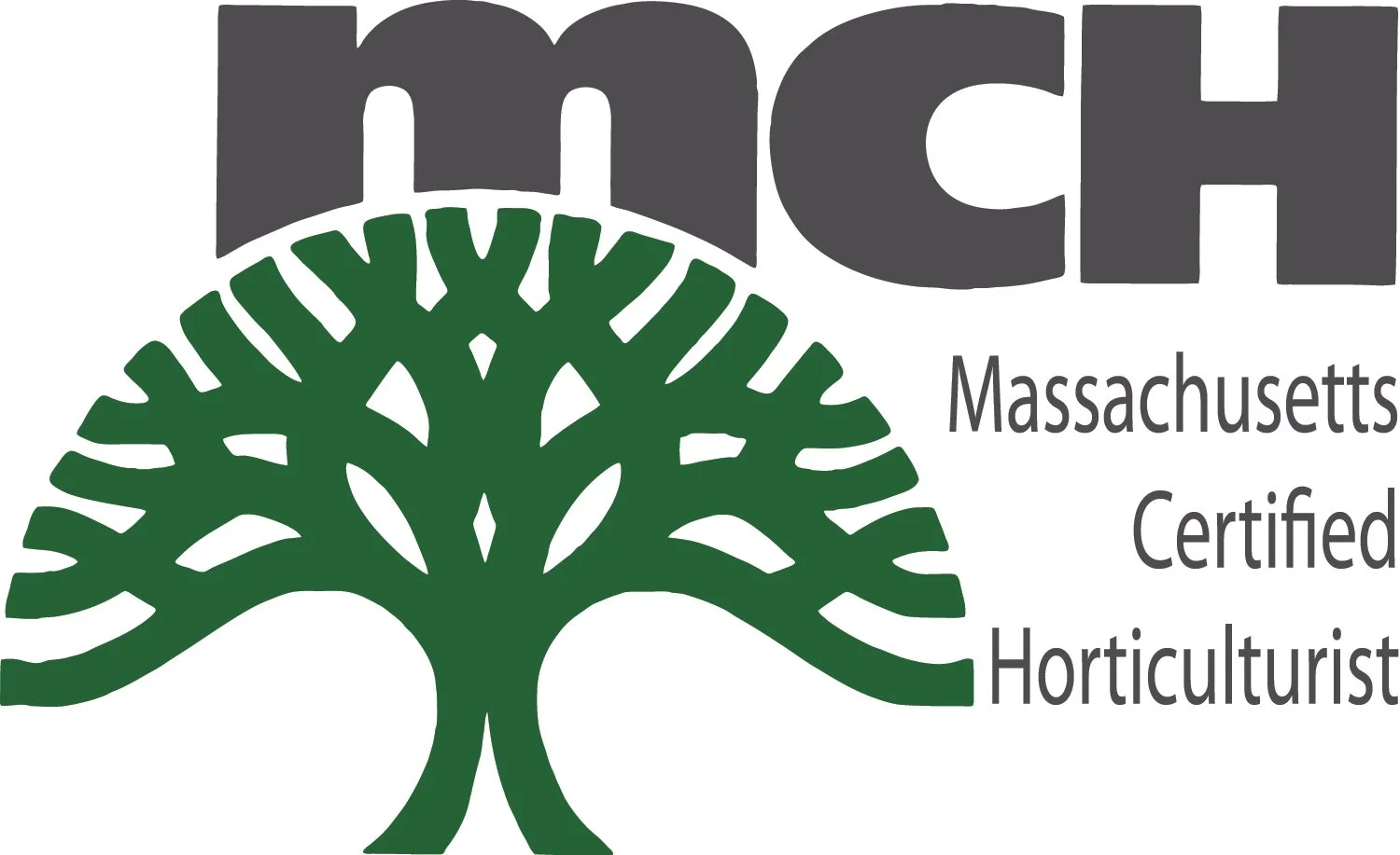MCH Logo GREEN 1211.jpg