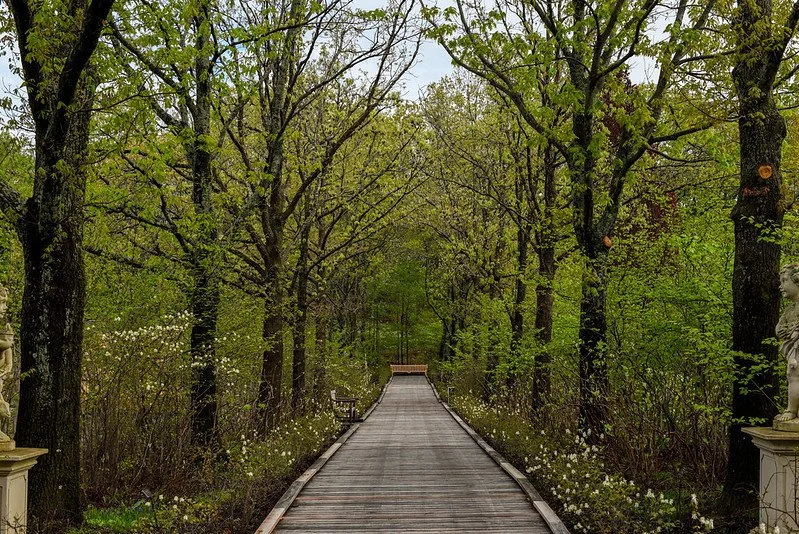 Woodland path at New England Botanic Garden at Tower Hill
