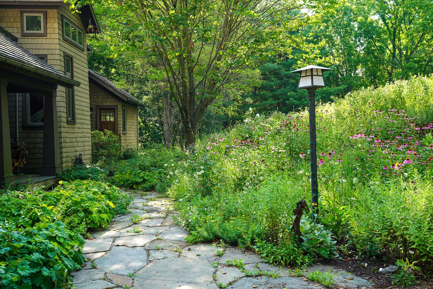 Garden Chat with Larry | Free, Live Q and A — NDAL: New Directions in ...