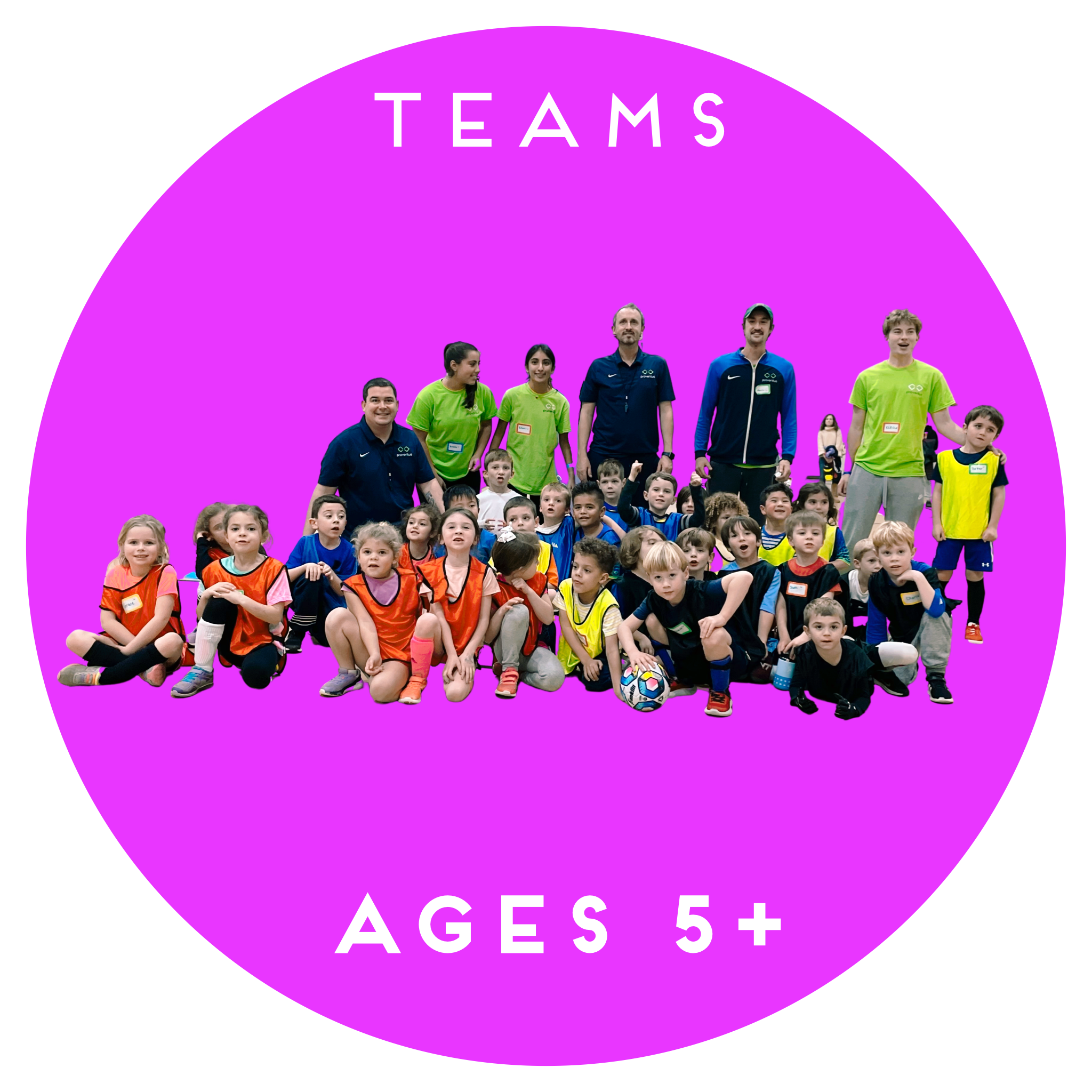 TEAMS1.png
