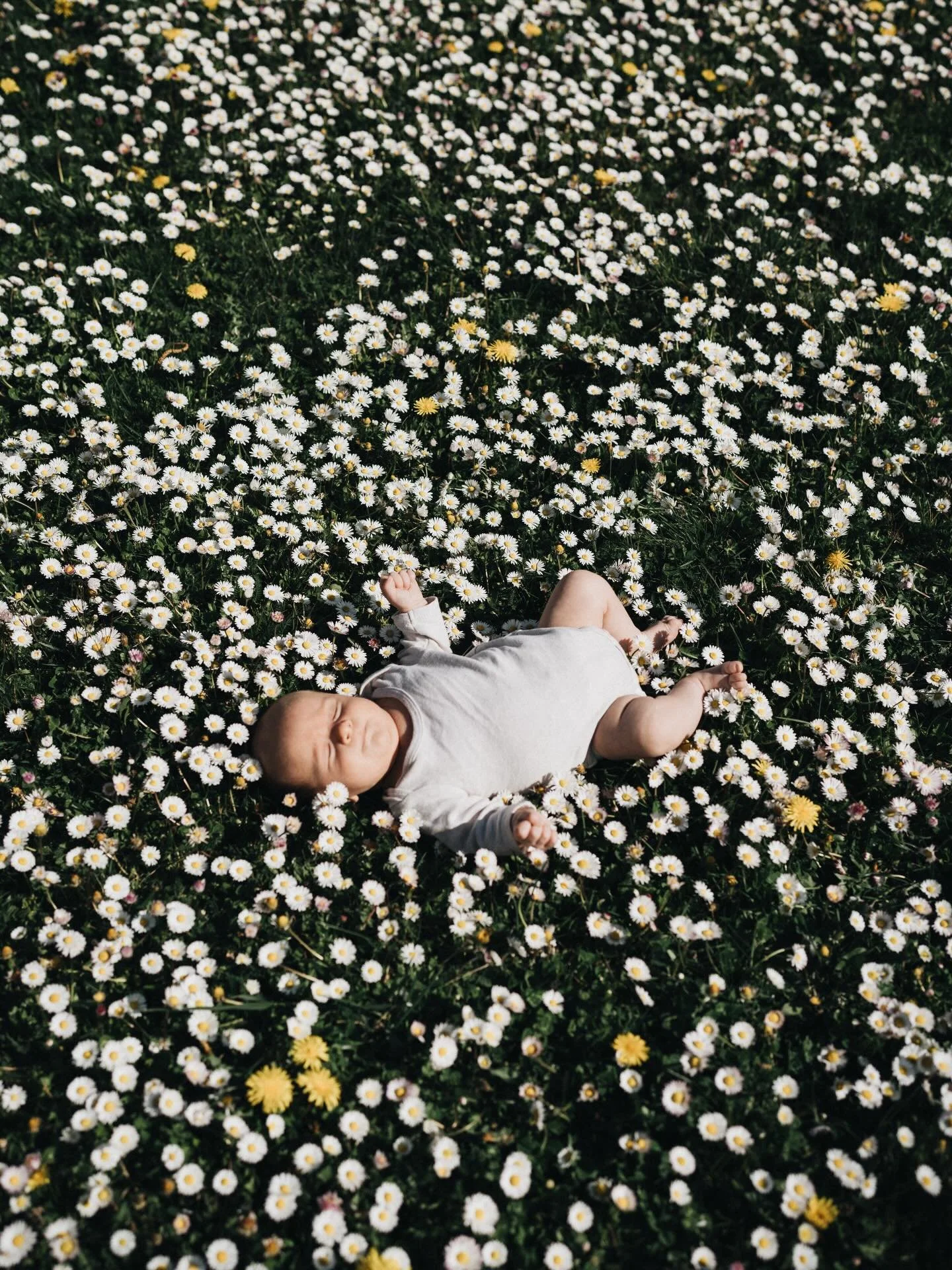 Le printemps est l&agrave;, et la saison des bains de p&acirc;querettes peut commencer 🥰
.
Je suis Amandine, photographe de grossesse, de naissance et de famille &agrave; Lyon.
J&rsquo;imagine pour les familles et les marques des images po&eacute;ti