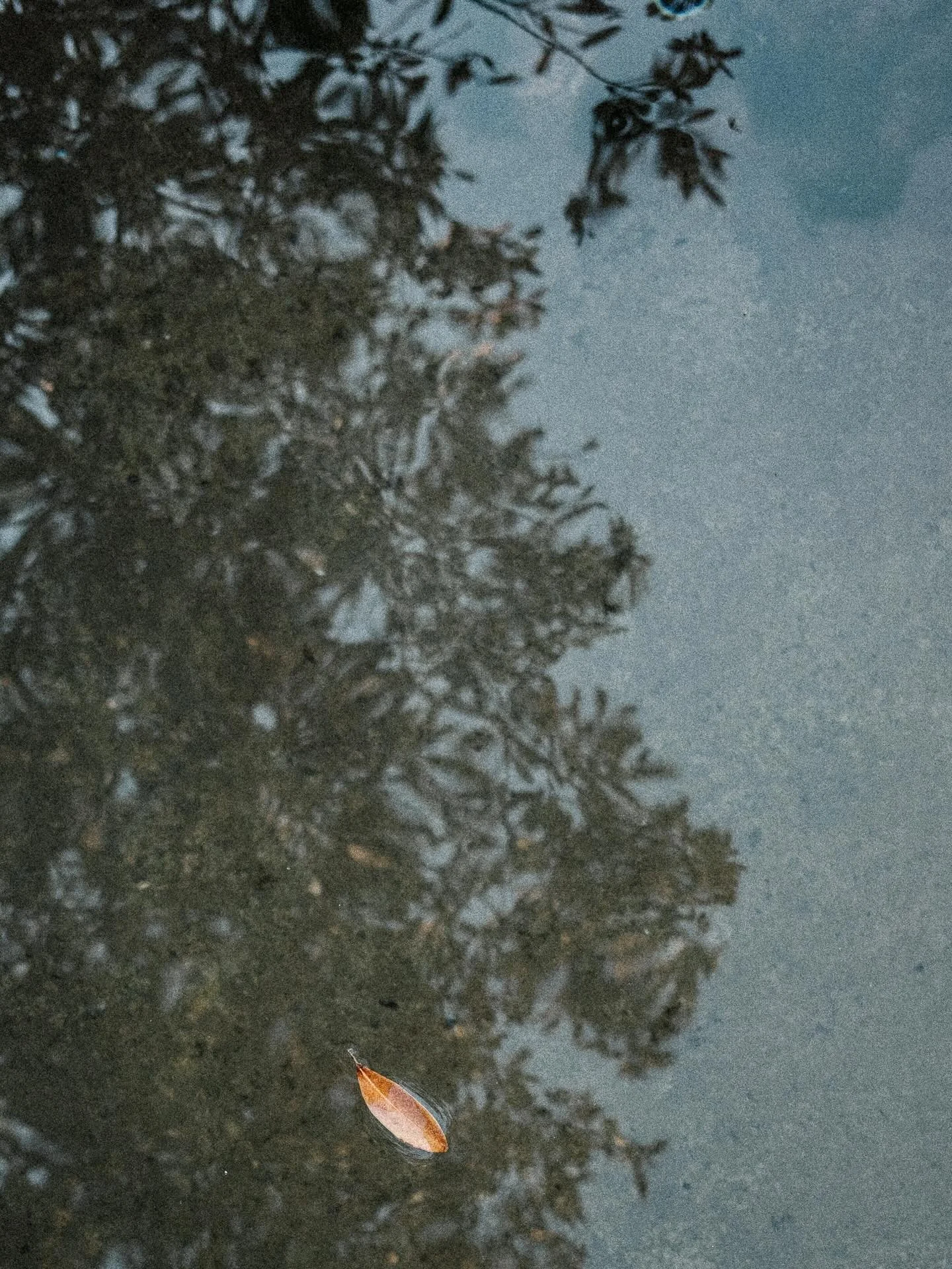 Revenir doucement par ici apr&egrave;s un fabuleux voyage en Chine&hellip;
Mais d&rsquo;abord, dormir pour r&eacute;cup&eacute;rer du d&eacute;calage horaire 🙃
&Agrave; tr&egrave;s vite pour une immersion en images 🇨🇳