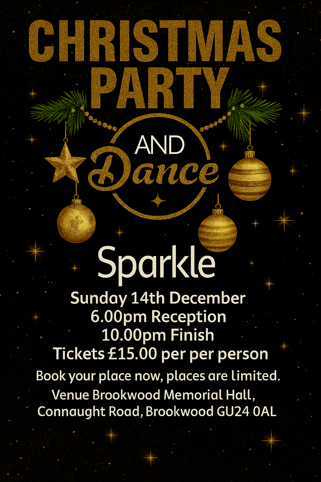 Christmas Party - Sparke