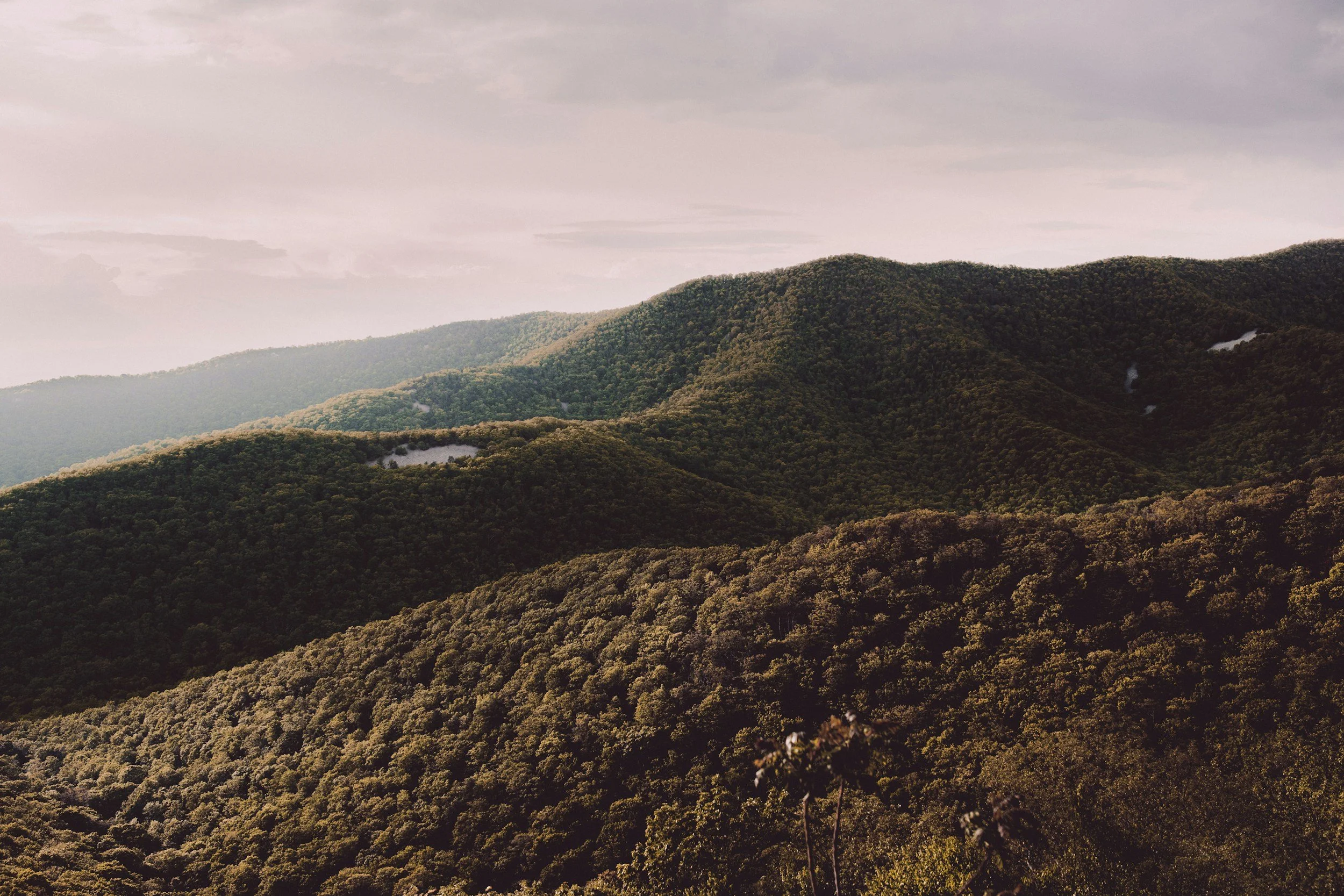 unsplash-image-OOo1c_jJ0Fk.jpg