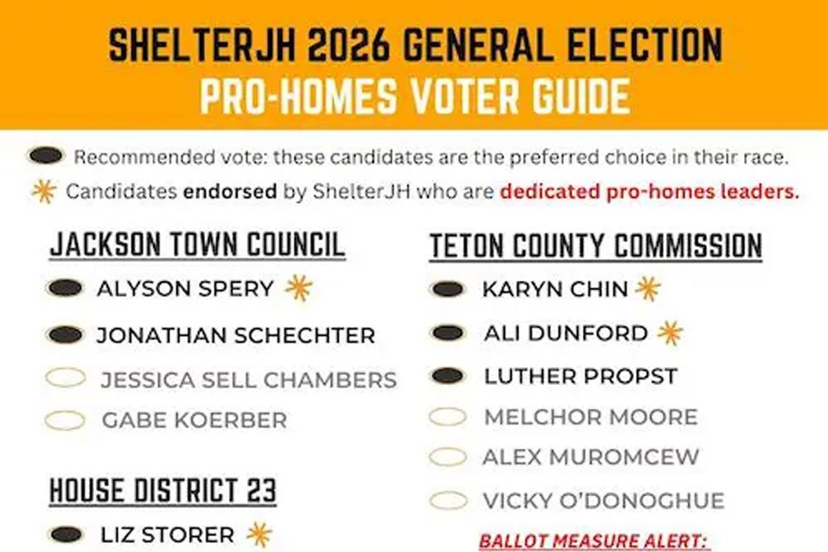 ShelterJH 2026 General Election Endorsements