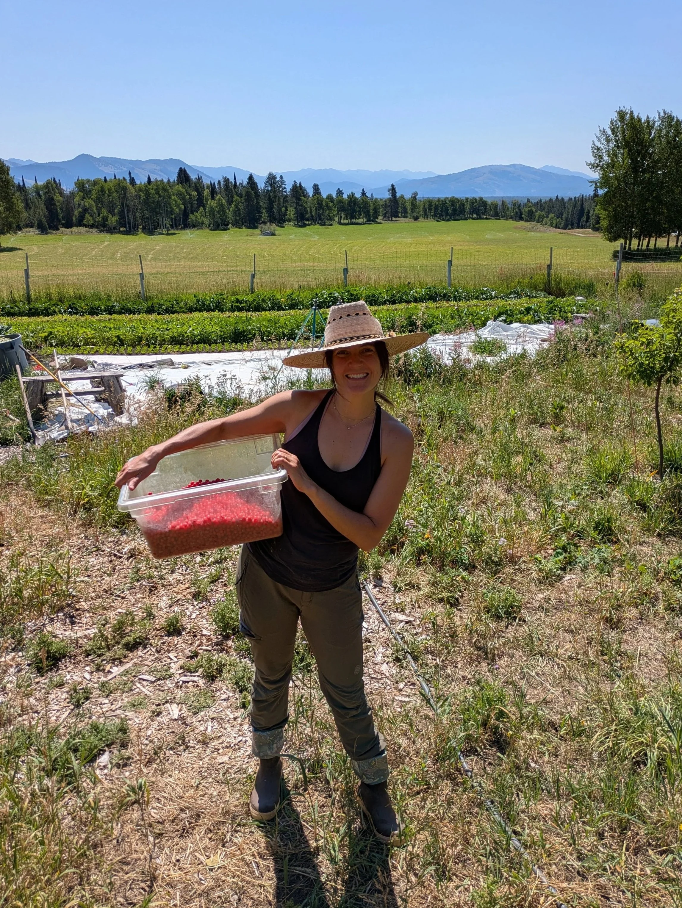 A smiling woman wearing a large sun hat and boots holds a container of red berries in a field with a mountain background.