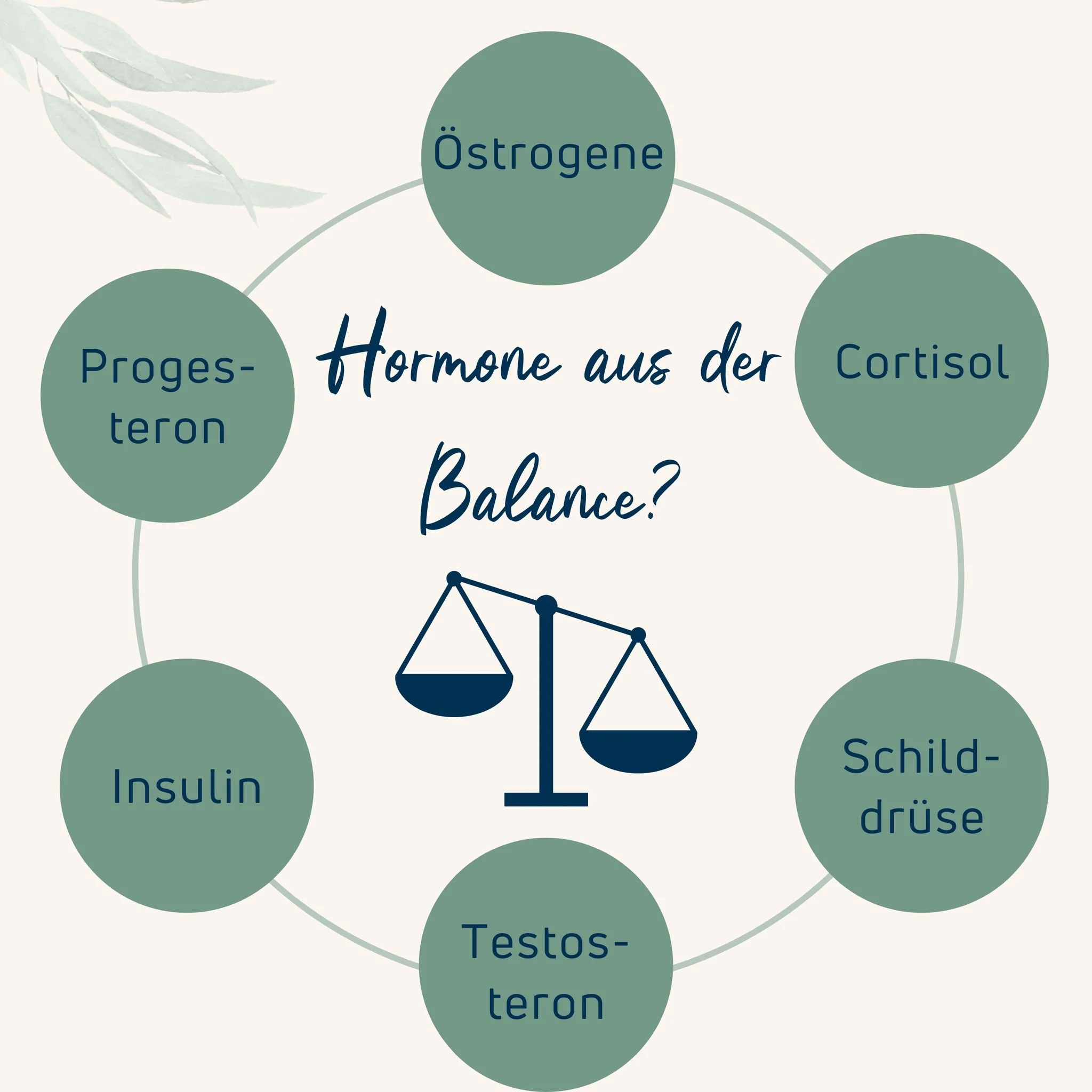 **Hormone AUS DER Balance?** ⚖️

Hormonelle Ungleichgewichte k&ouml;nnen sich hinter vielen Fassaden verstecken &ndash; und dabei ist sowohl ein Zuviel (+) als auch ein Zuwenig (-) bestimmter Hormone oft mit sp&uuml;rbaren Auswirkungen verbunden. Lei