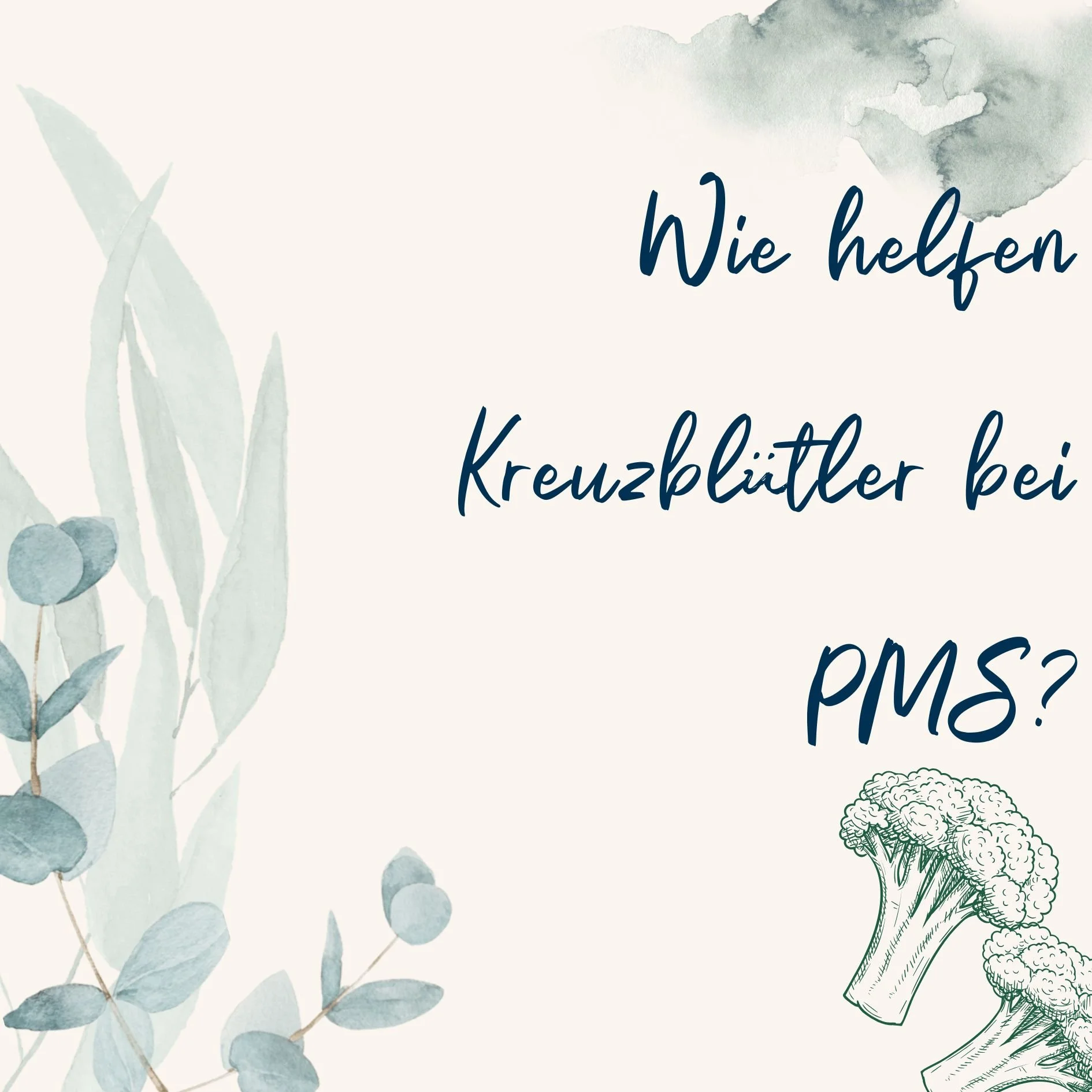 Weniger PMS durch Kreuzbl&uuml;tler?

Wusstest du, dass der Verzehr von Kreuzbl&uuml;tlern wie Brokkoli, Kohl &amp; Co. das Verh&auml;ltnis bestimmter &Ouml;strogene im K&ouml;rper beeinflussen kann? 🌱

Wenn wir Kreuzbl&uuml;tler-Gem&uuml;se essen, 