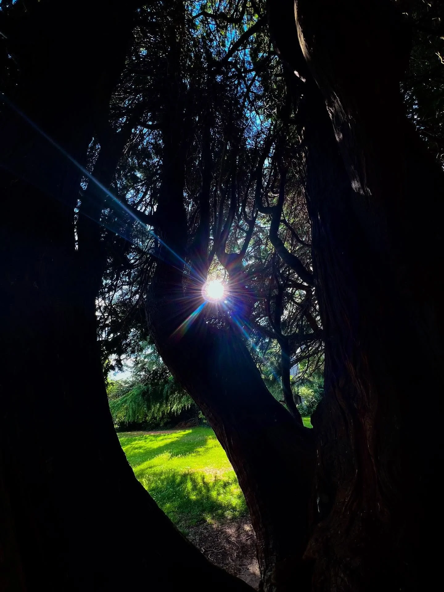 _

Nature&rsquo;s Coven-Stellar Bodies

Leo-Fifth House

12th of July- Online

The Fifth House is traditionally ruled by Leo, and it is our invitation to creative individuation and self discovery. It is here that we begin to understand and experiment