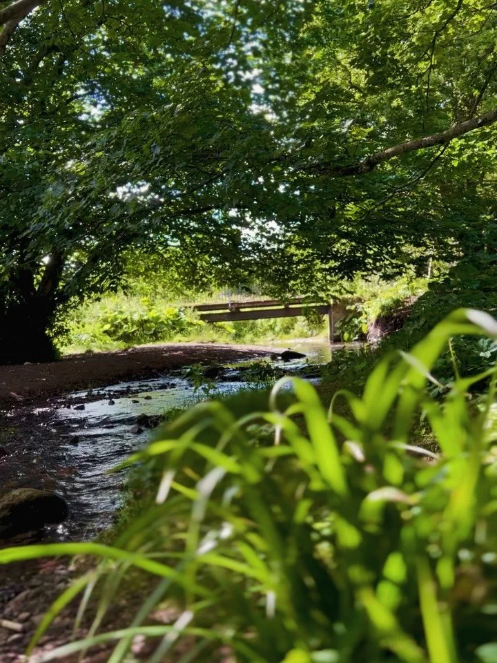 _

The Buoyancy of Our Humanity

Yesterday, I drank deeply from

The waters of despair,

And I almost drowned again.

This near death experience

Has been teaching me

For the past 30 years.

Since I began my bleed,

One day a month,

The weight of t