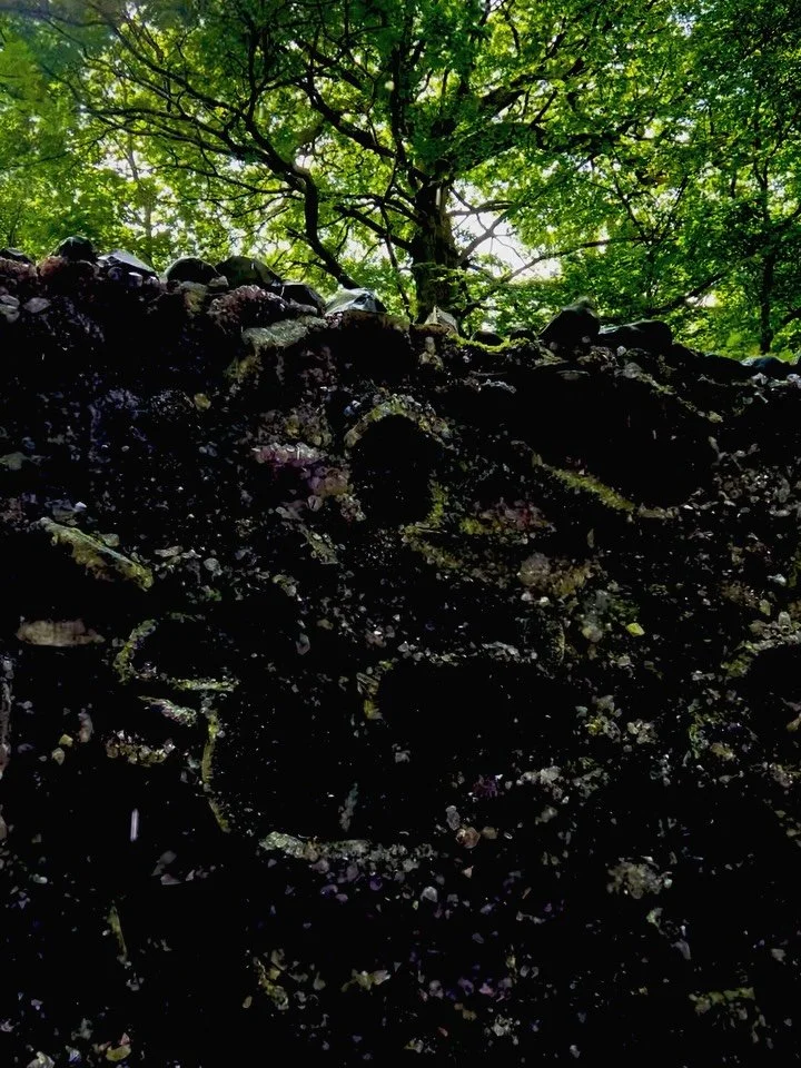 _

Nature&rsquo;s Coven-Stellar Bodies

Virgo-Sixth House

16th of August- Online

 
The 6th House is traditionally ruled by Virgo, and it reminds us that we are the results of our daily habits. As the second Earth sign of the zodiac, Virgo craves co